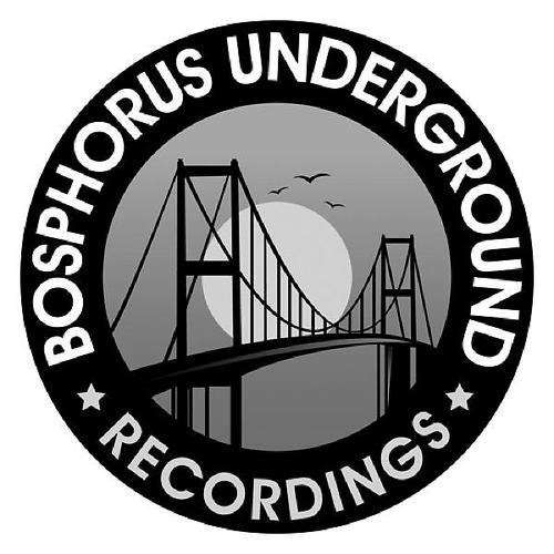 Постер альбома Bosphorus Underground Best Of Winter Samples 2010