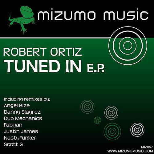 Robert Ortiz - Tuned In (Fabyan Dub Remix)