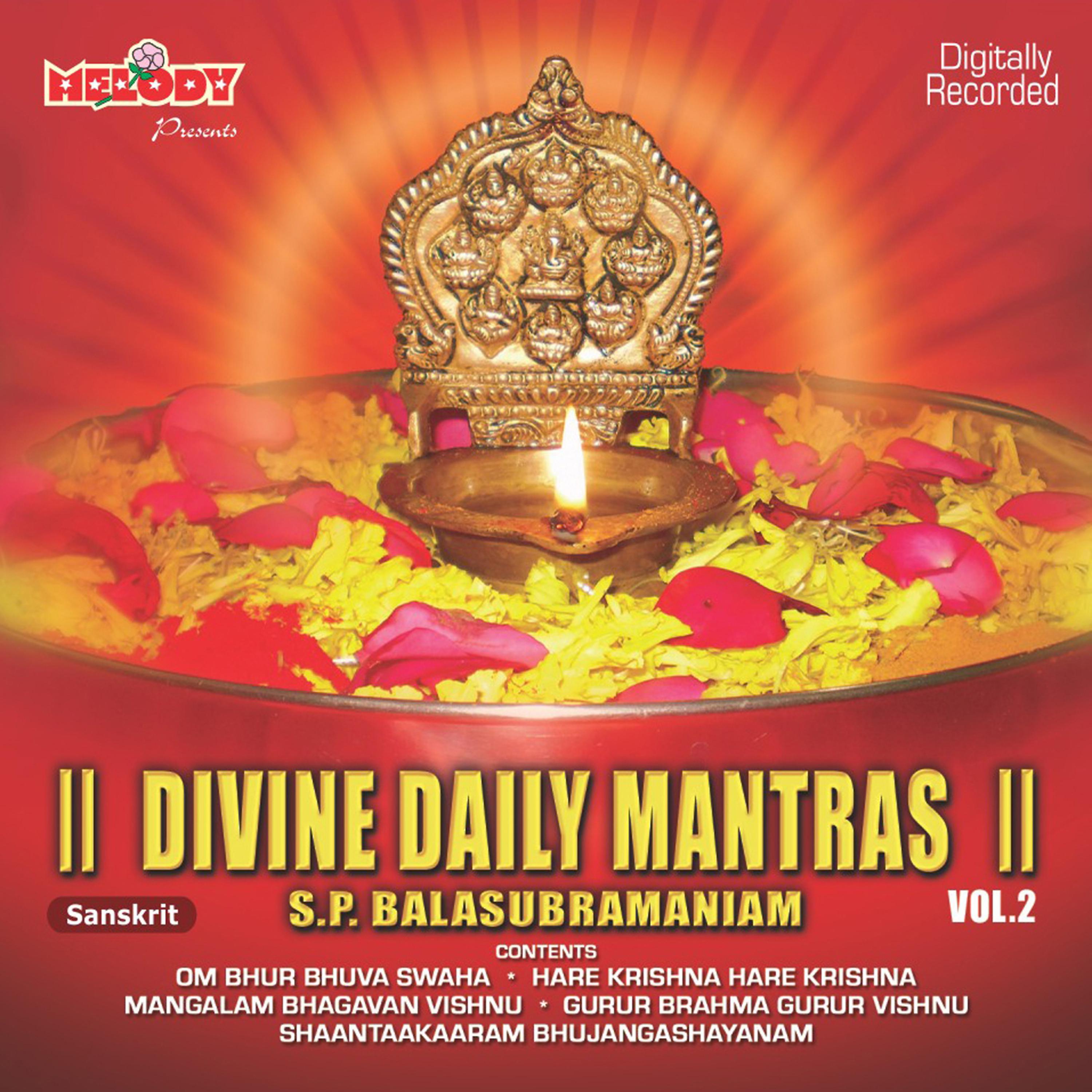 Постер альбома Divine Daily Mantras, Vol. 2