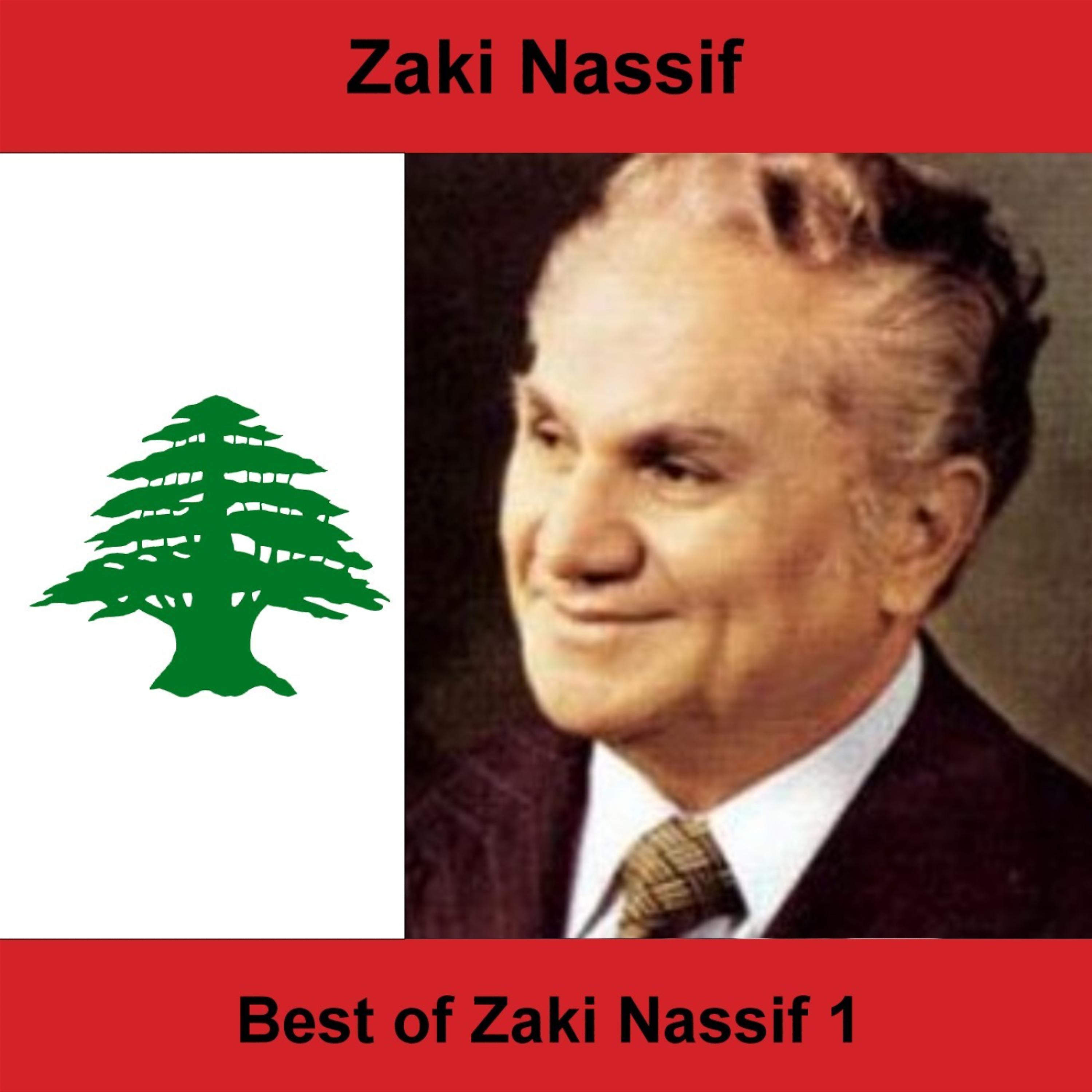Постер альбома Best of Zaki Nassif 1