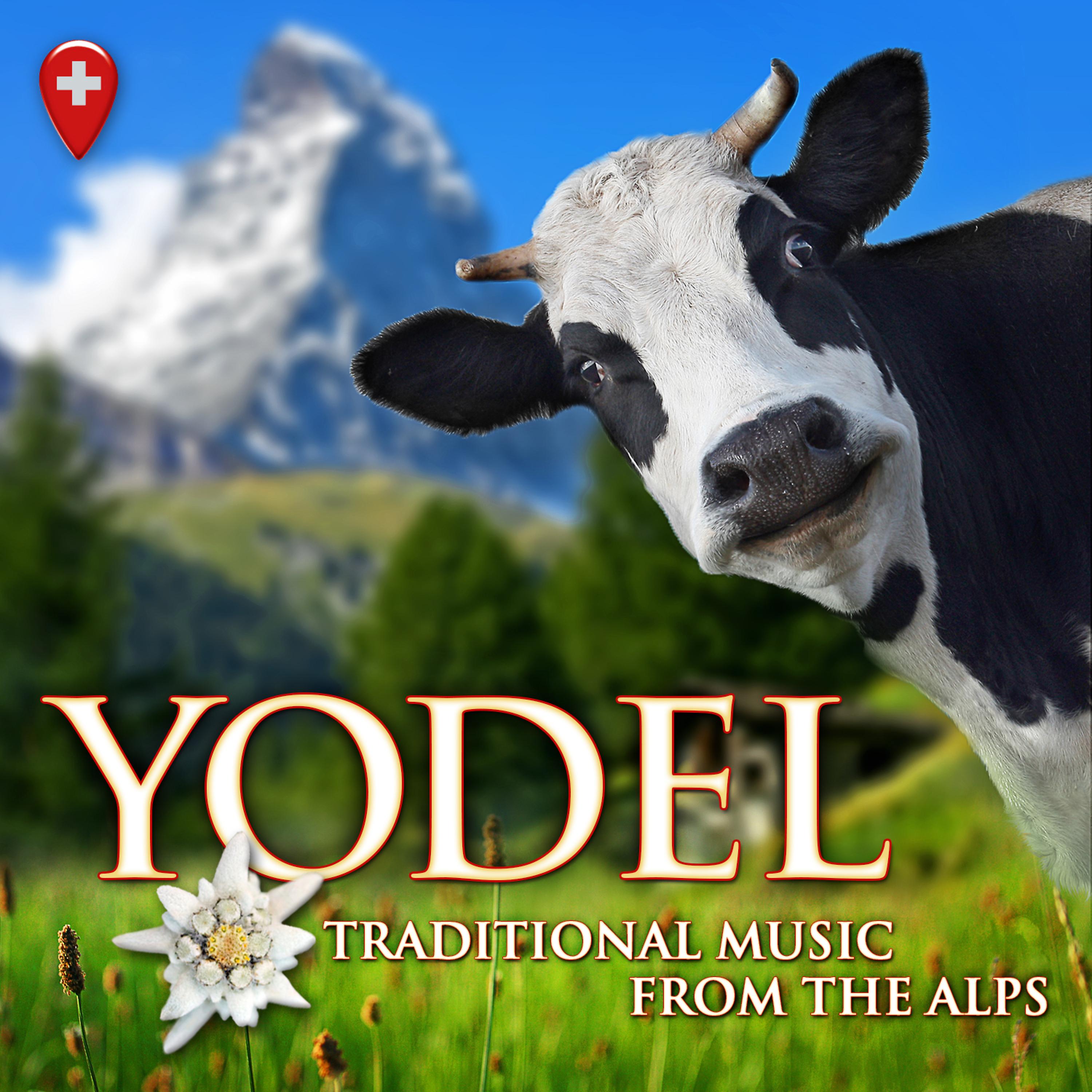 Постер альбома Yodel: Traditional Music from the Alps