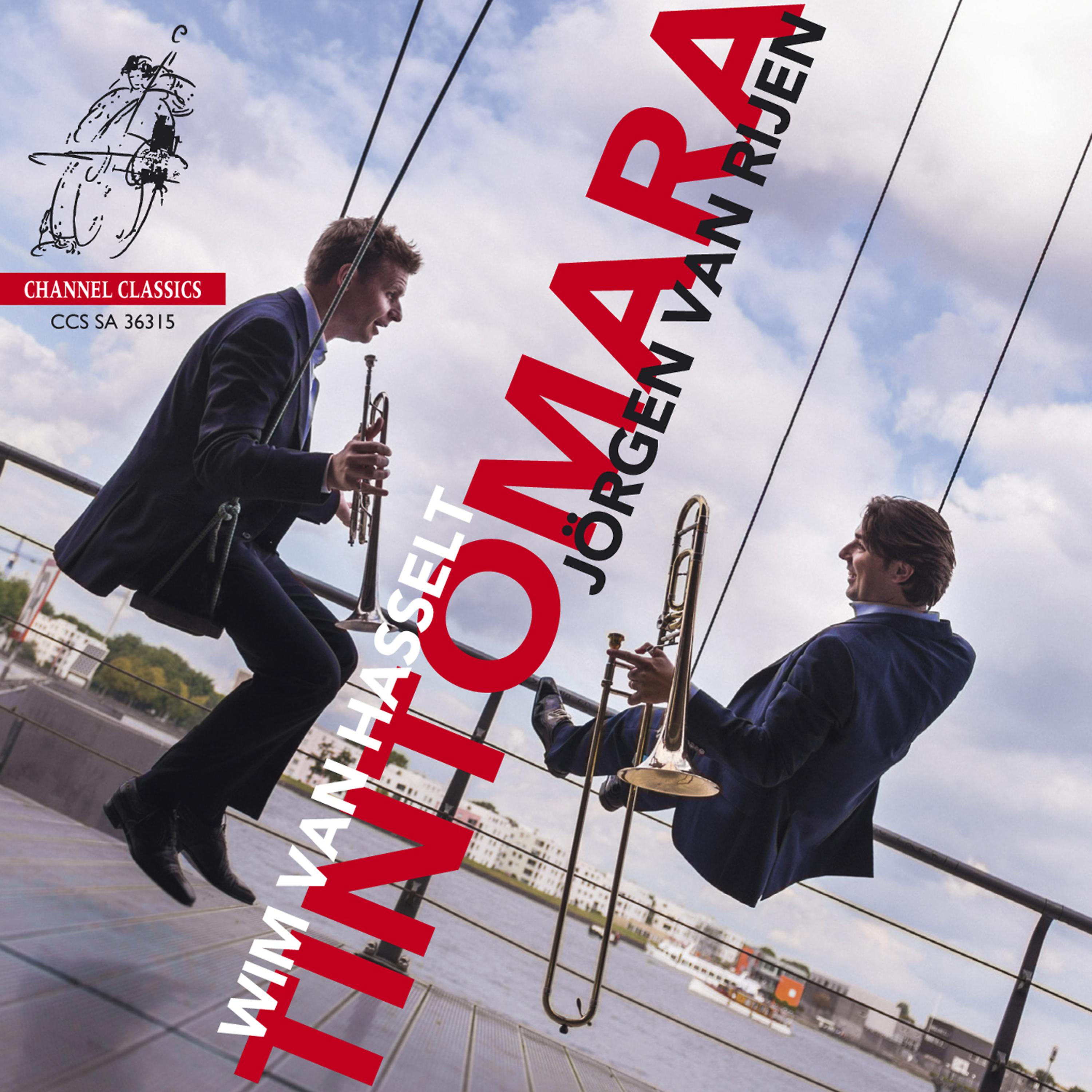 Постер альбома Tintomara