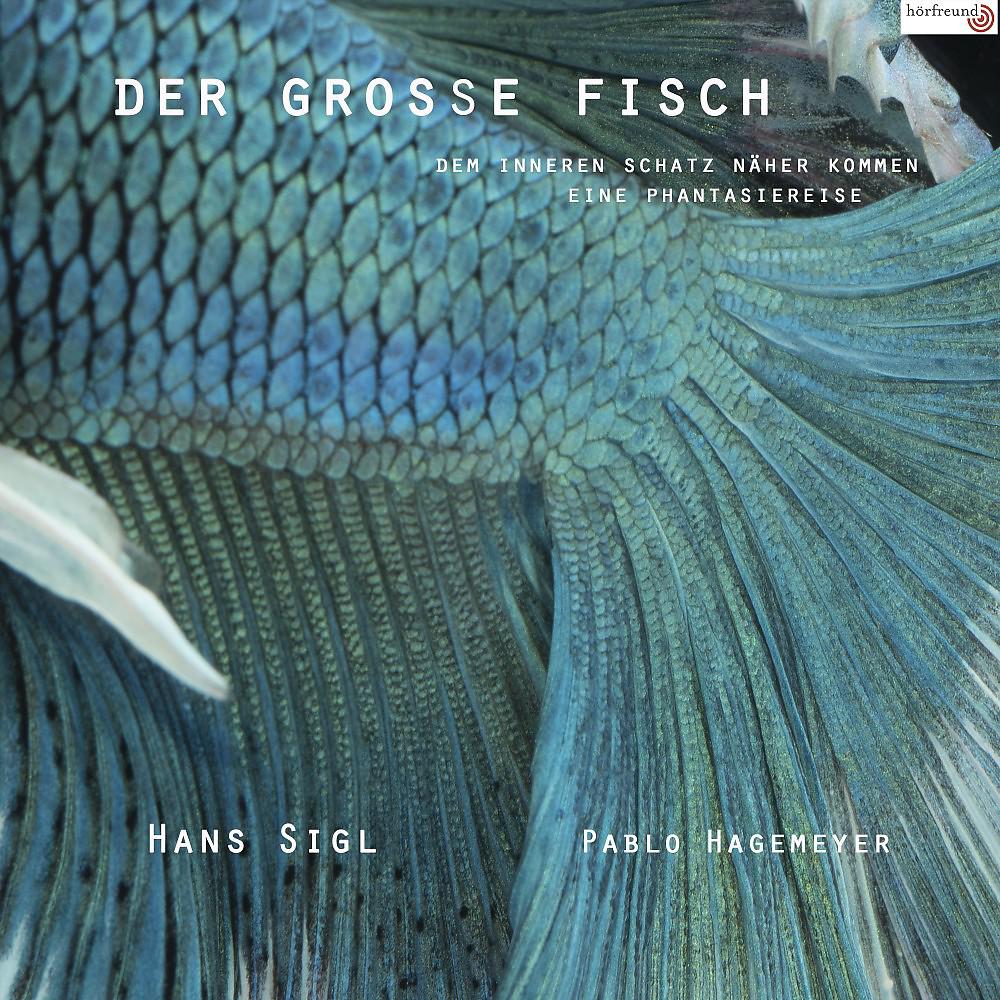 Постер альбома Der große Fisch (Dem inneren Schatz näher kommen - Eine Phantasiereise)