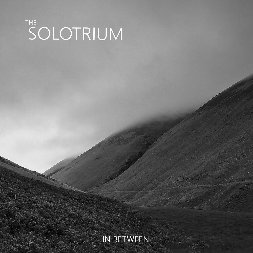 The Solotrium - Stealing Donkeys