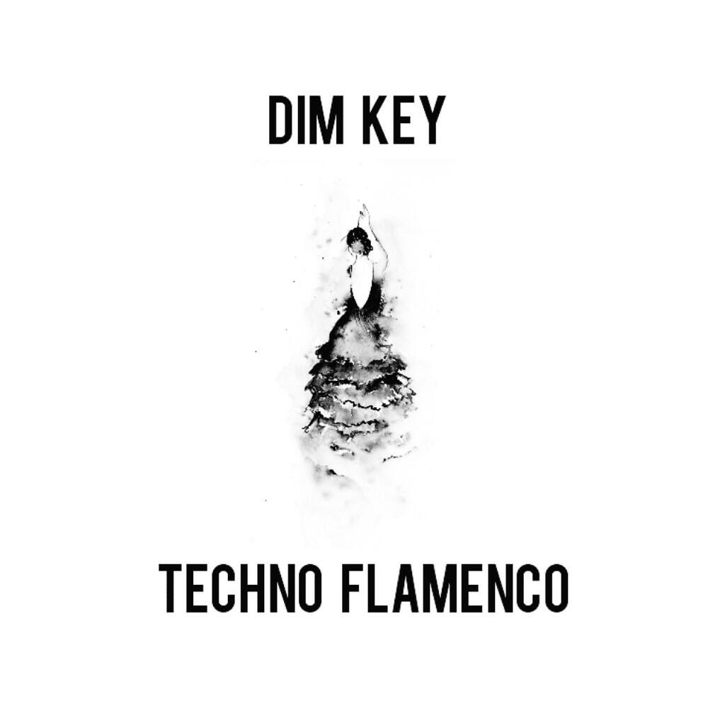 Dim Key - Joker (Original Mix)