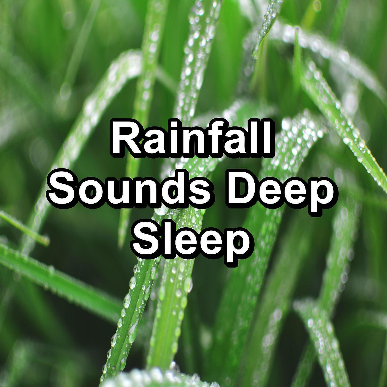 RAIN - Distant Rain on a Tin Roof Relaxing and Loopable for a 10 Hours Sleep