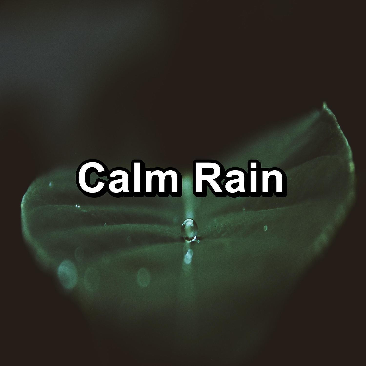 Nature Music - Moderate Rain For Spa and Relaxation For Babies to Relax and Rest
