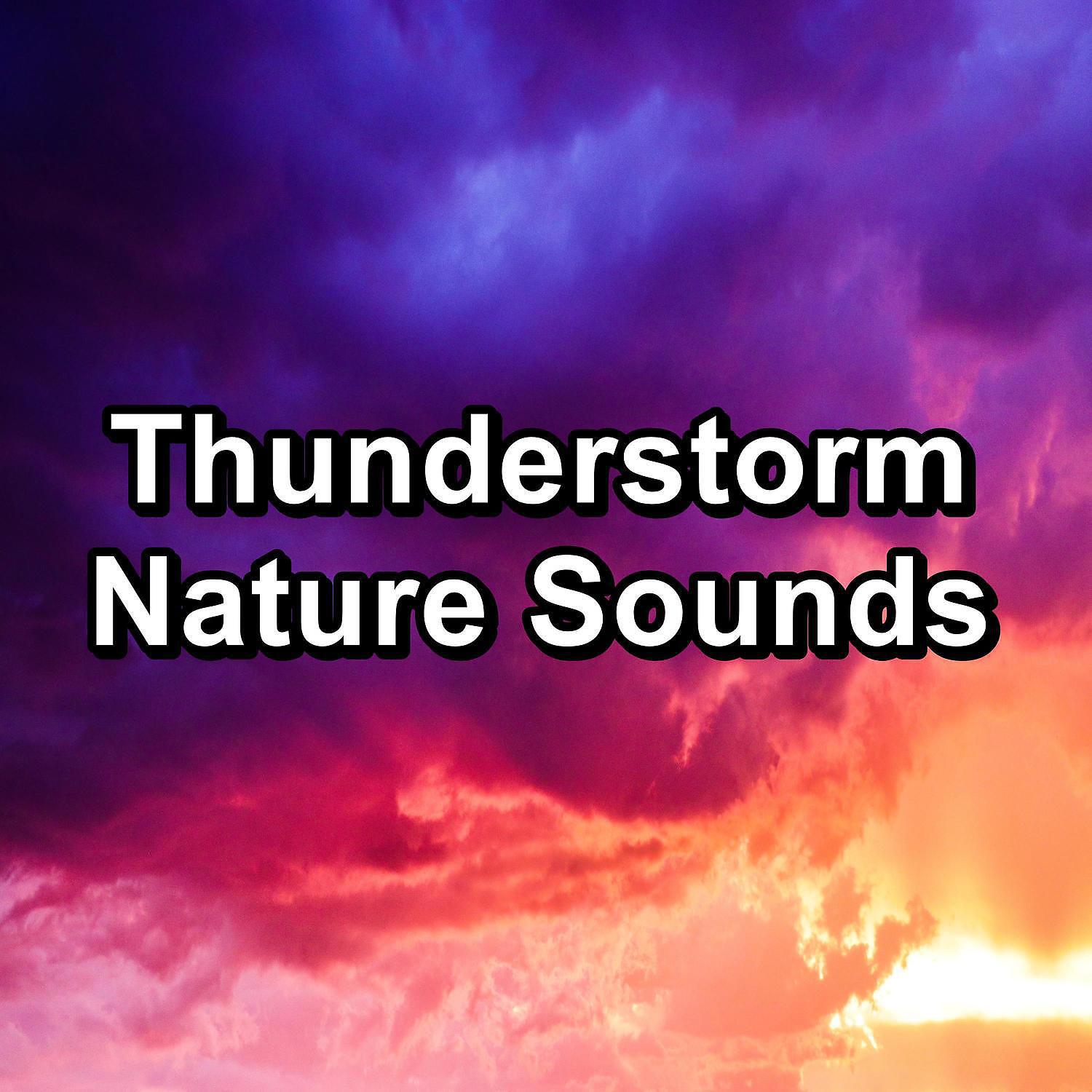 Nature Sounds - Medium Rain with Thunder and White Noise Noise for Trouble Sleeping