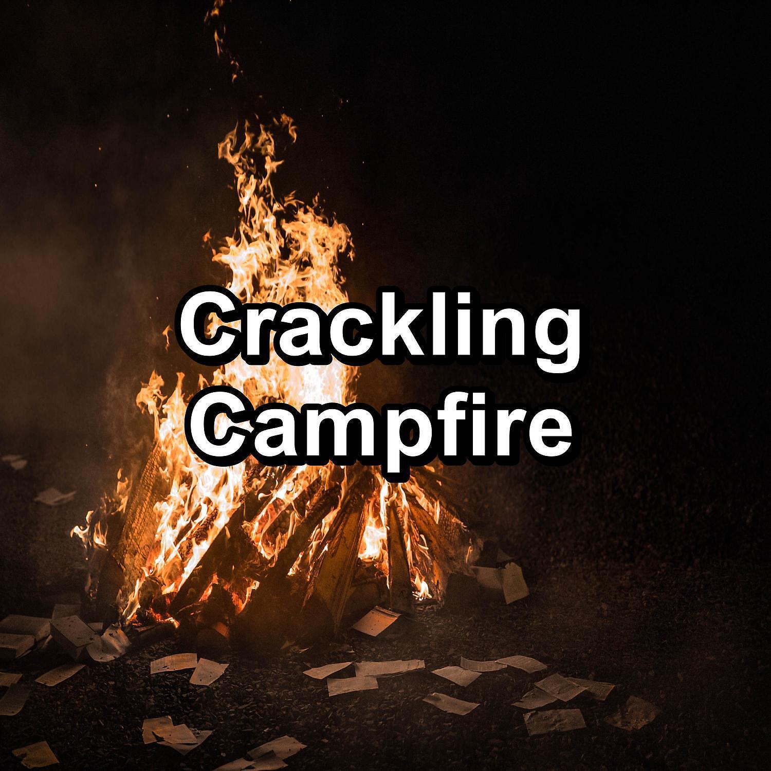 Focusity - Cozy Fire Place Sounds