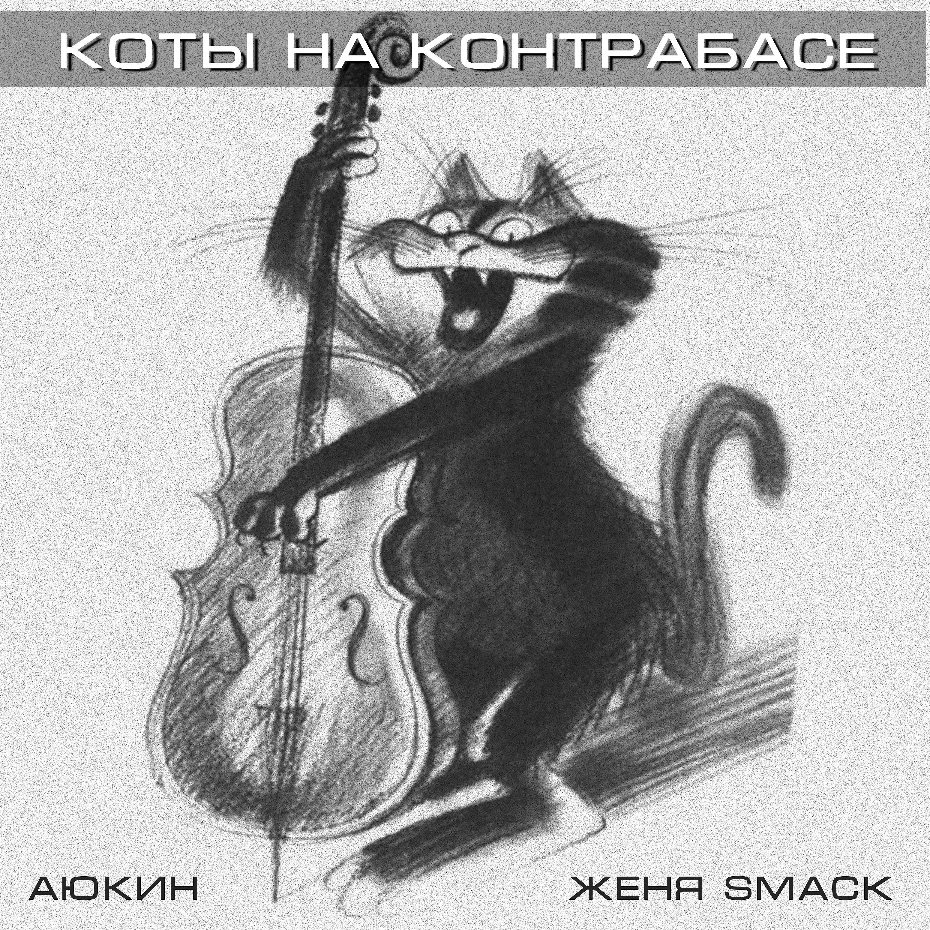 Постер альбома Коты на контрабасе