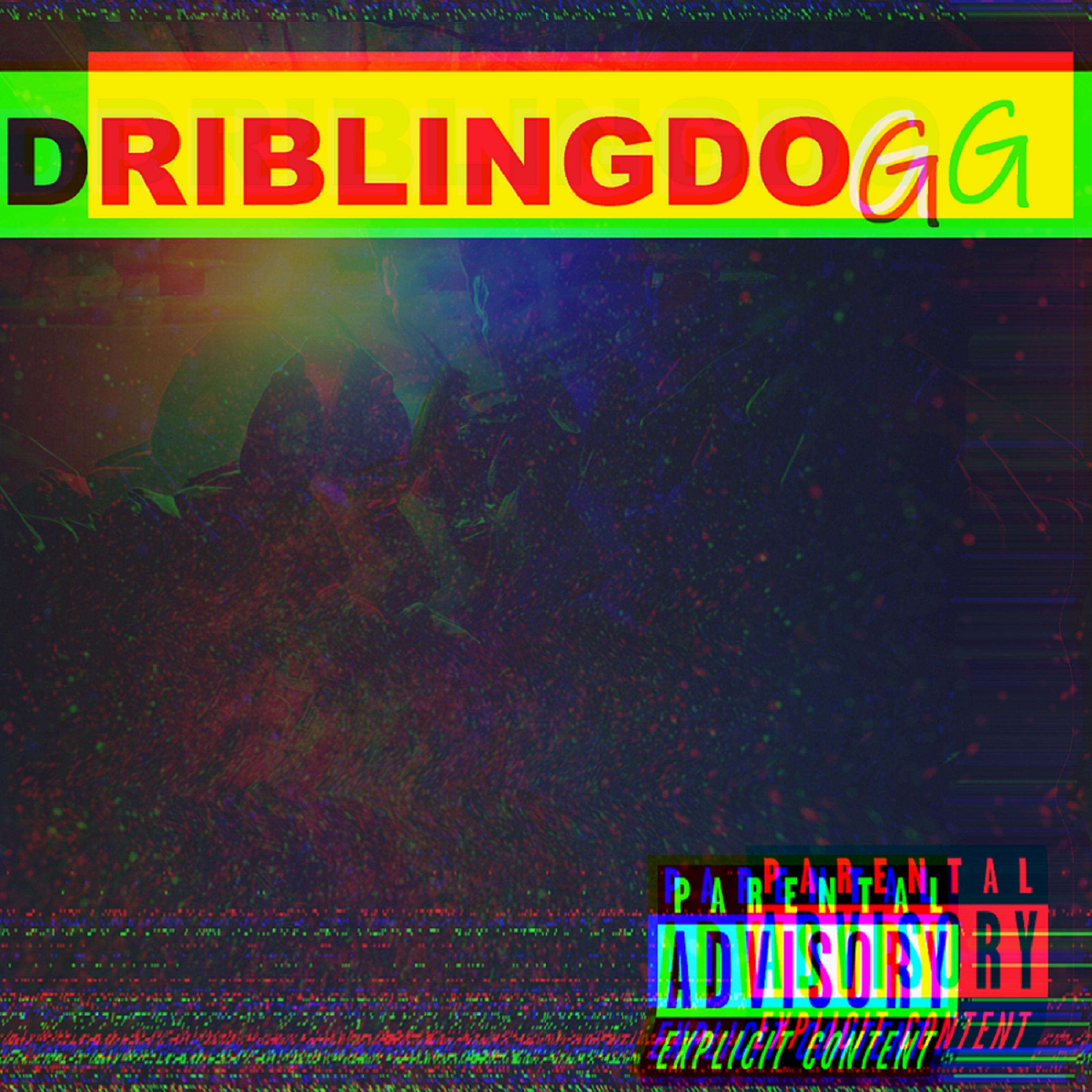 Постер альбома Driblingdog