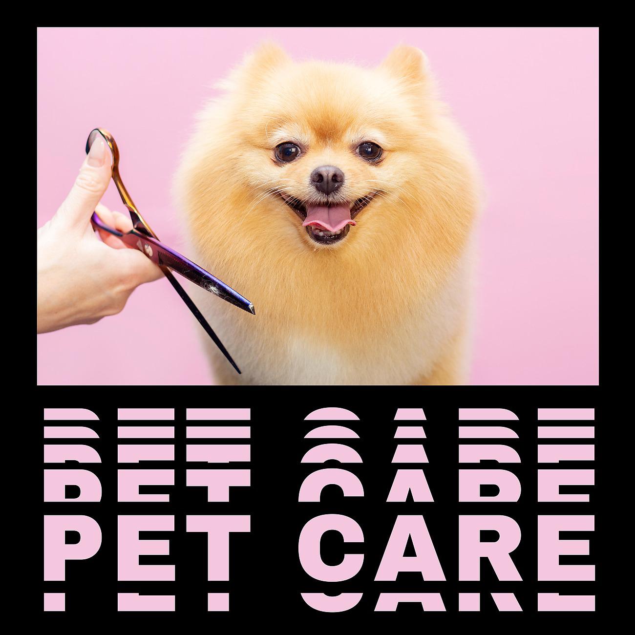 Постер альбома Pet Care