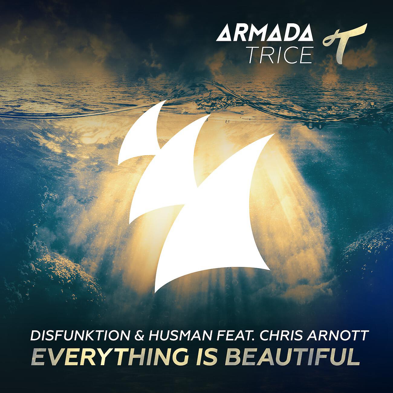Disfunktion - Everything Is Beautiful (Jochen Miller Extended Remix)