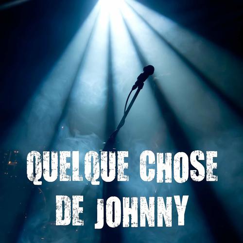 Постер альбома Quelque chose de Johnny