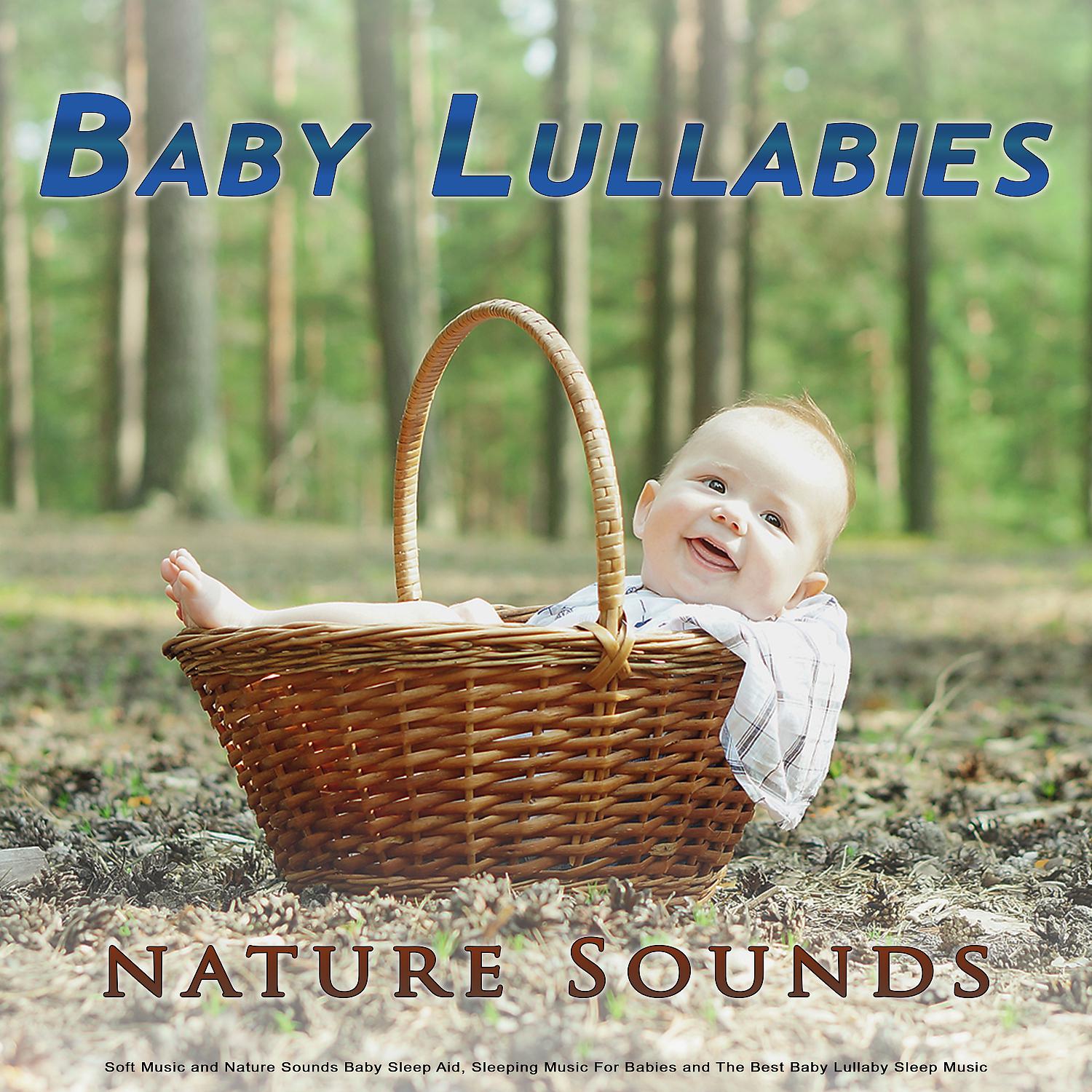 Постер альбома Baby Lullabies: Soft Music and Nature Sounds Baby Sleep Aid, Sleeping Music For Babies and The Best Baby Lullaby Sleep Music