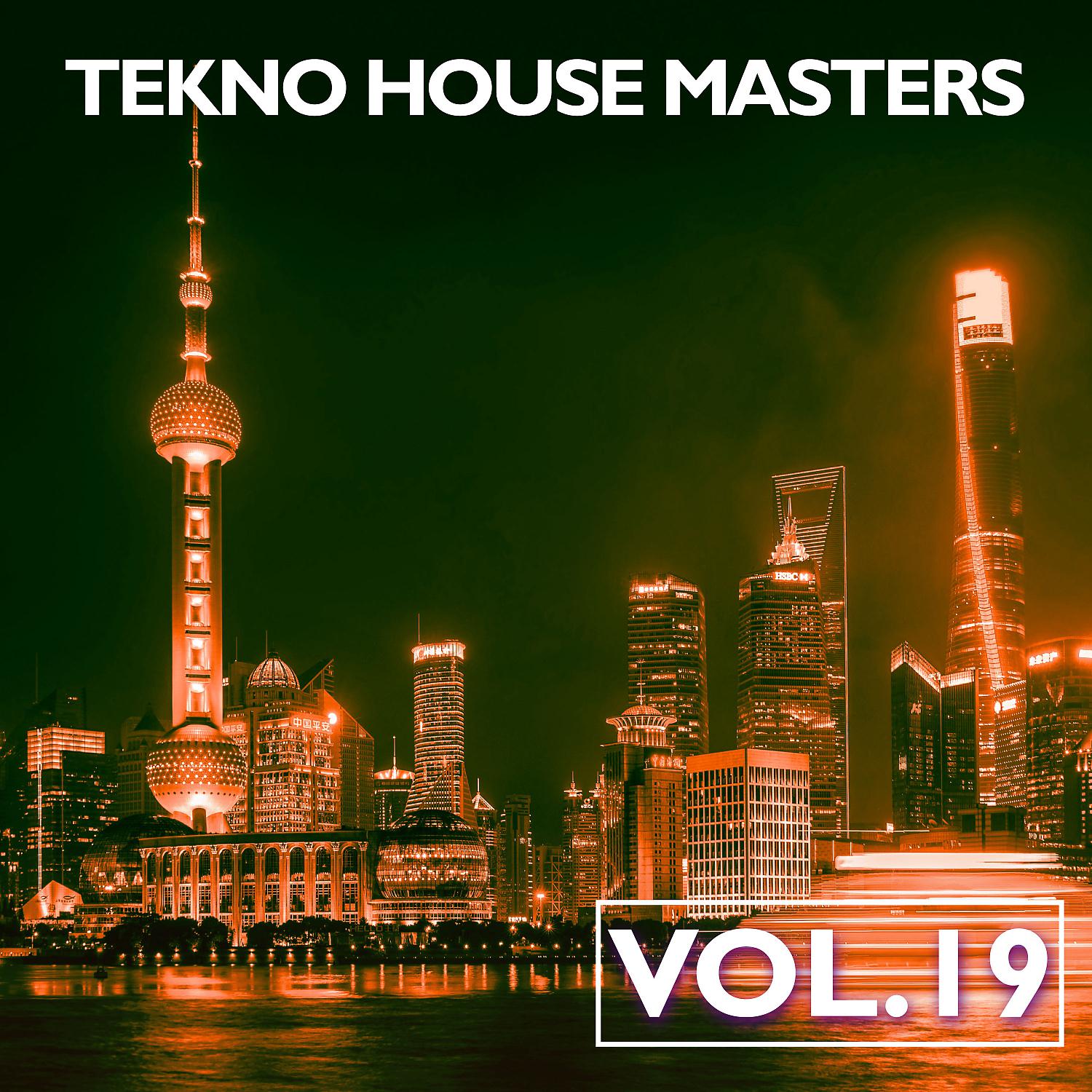 Постер альбома Tekno House Masters, Vol. 19