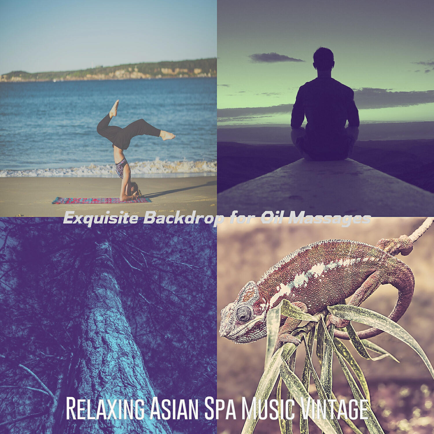 Relaxing Asian Spa Music Vintage - Background for Oil Massages