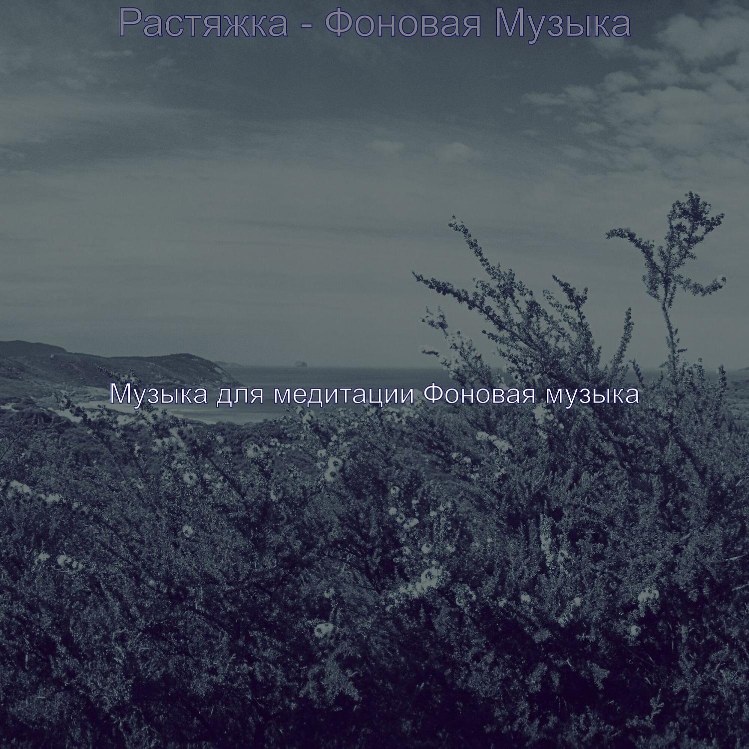 Постер альбома Растяжка - Фоновая Музыка