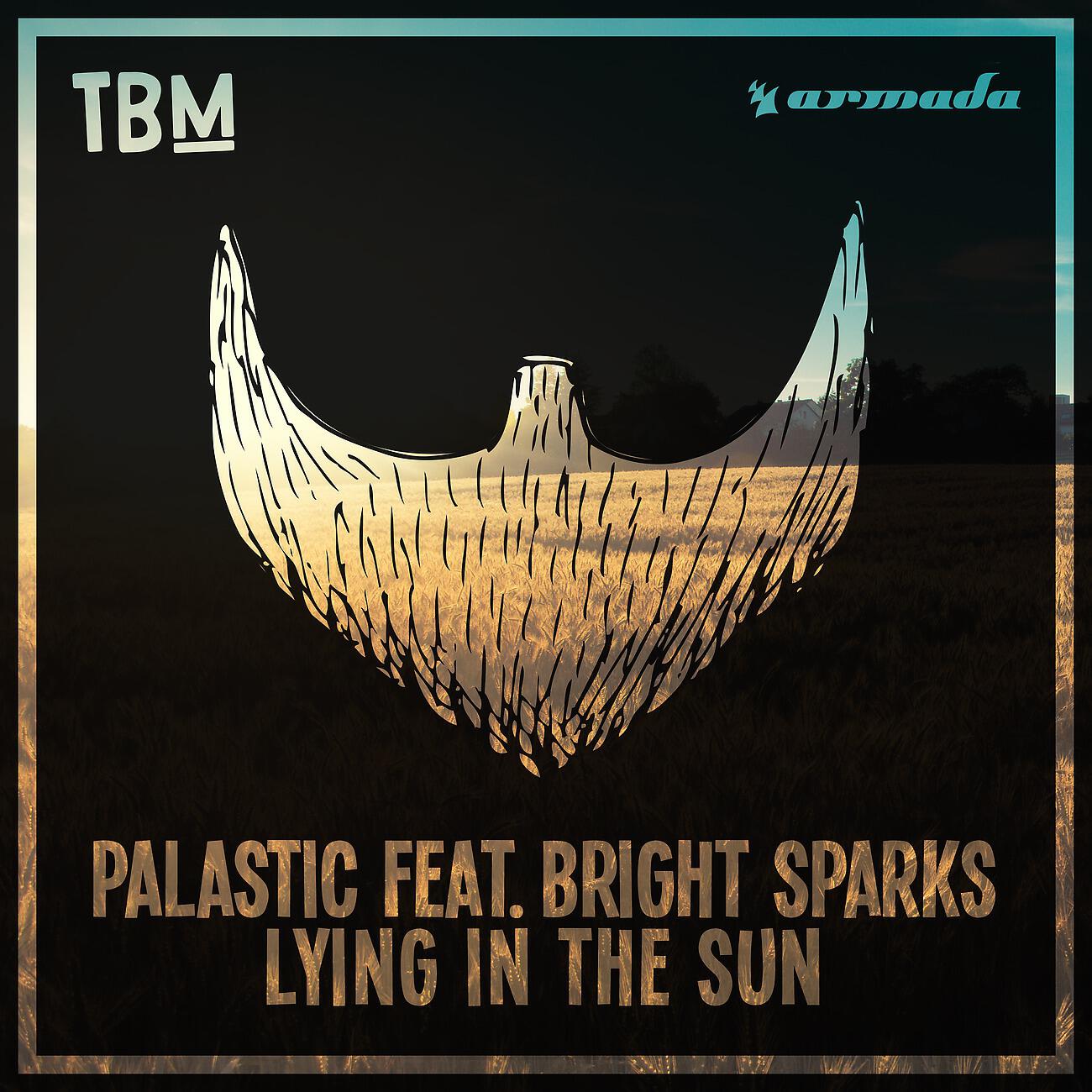 PALASTIC - Lying In The Sun