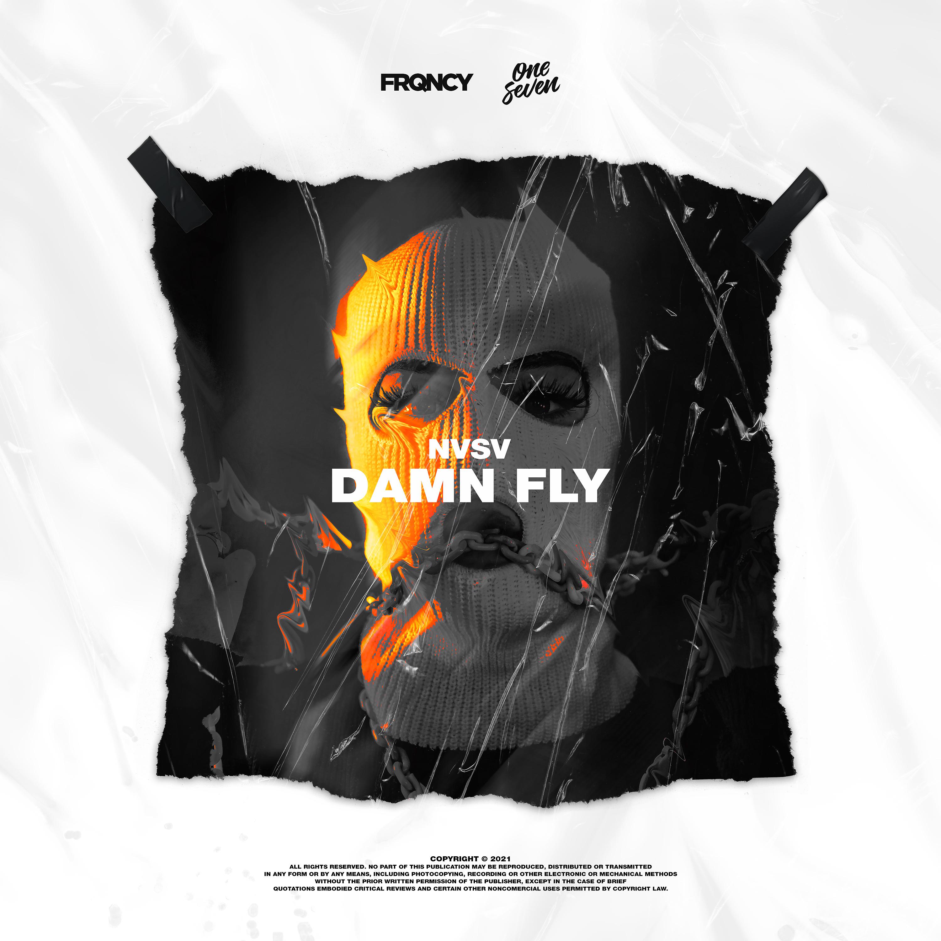 Постер альбома Damn Fly