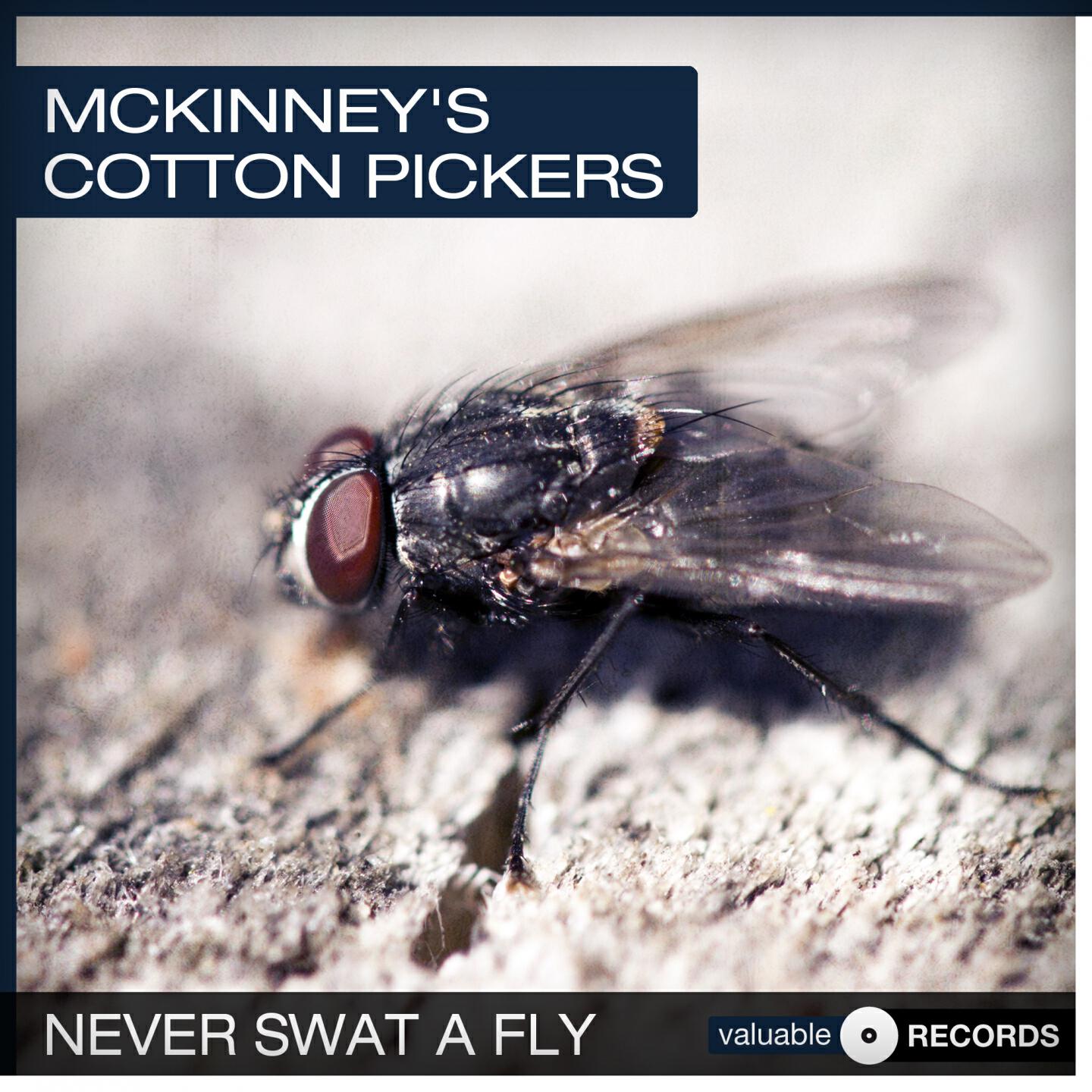 McKinney's Cotton Pickers - Do Something