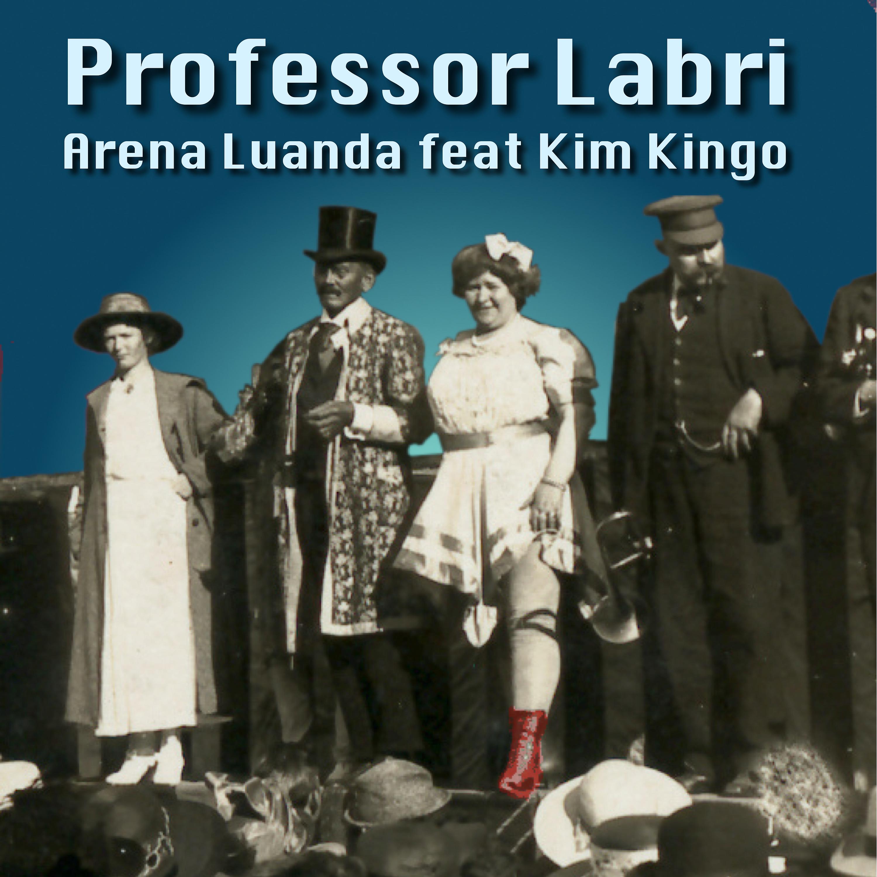 Постер альбома Professor Labri