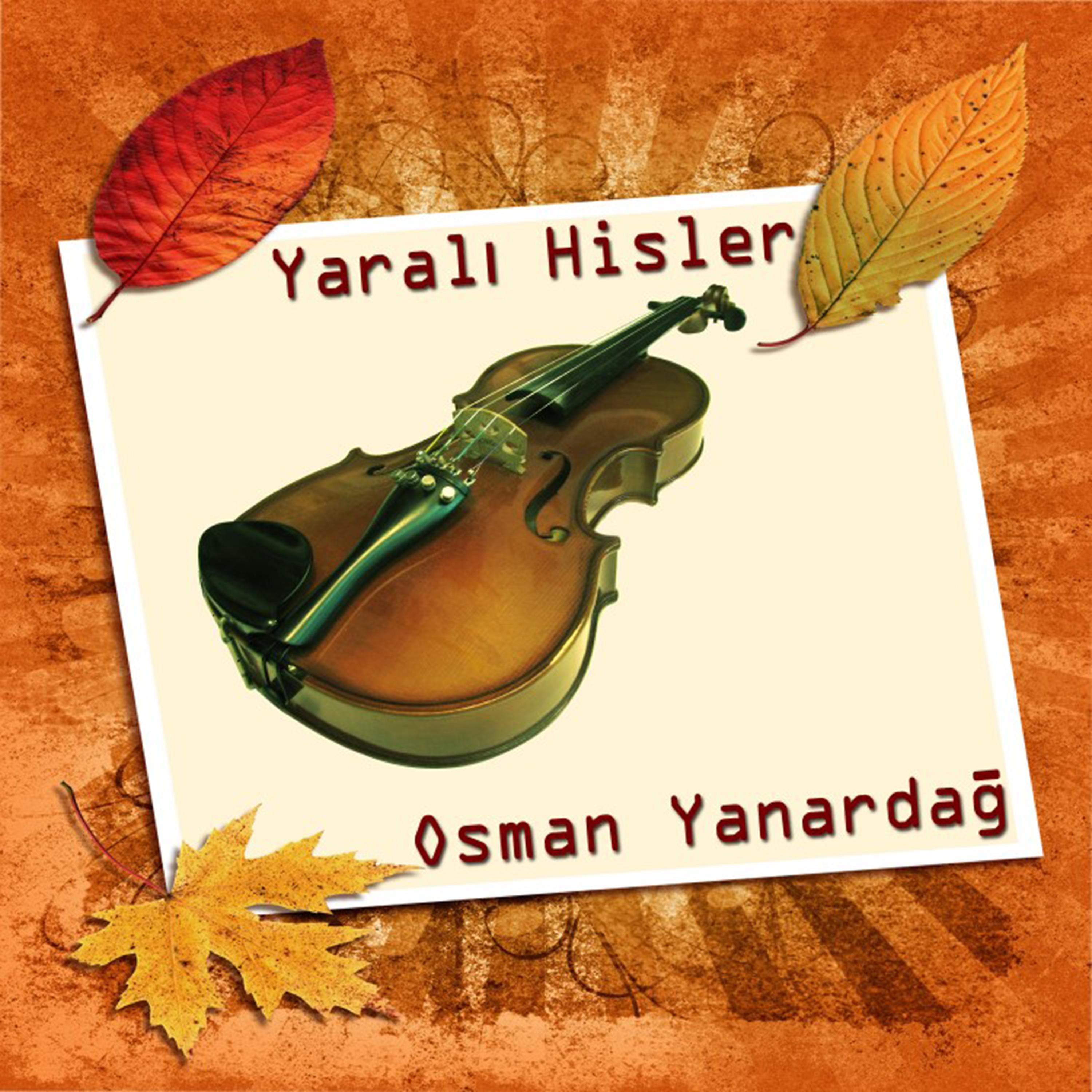 Постер альбома Yaralı Hisler