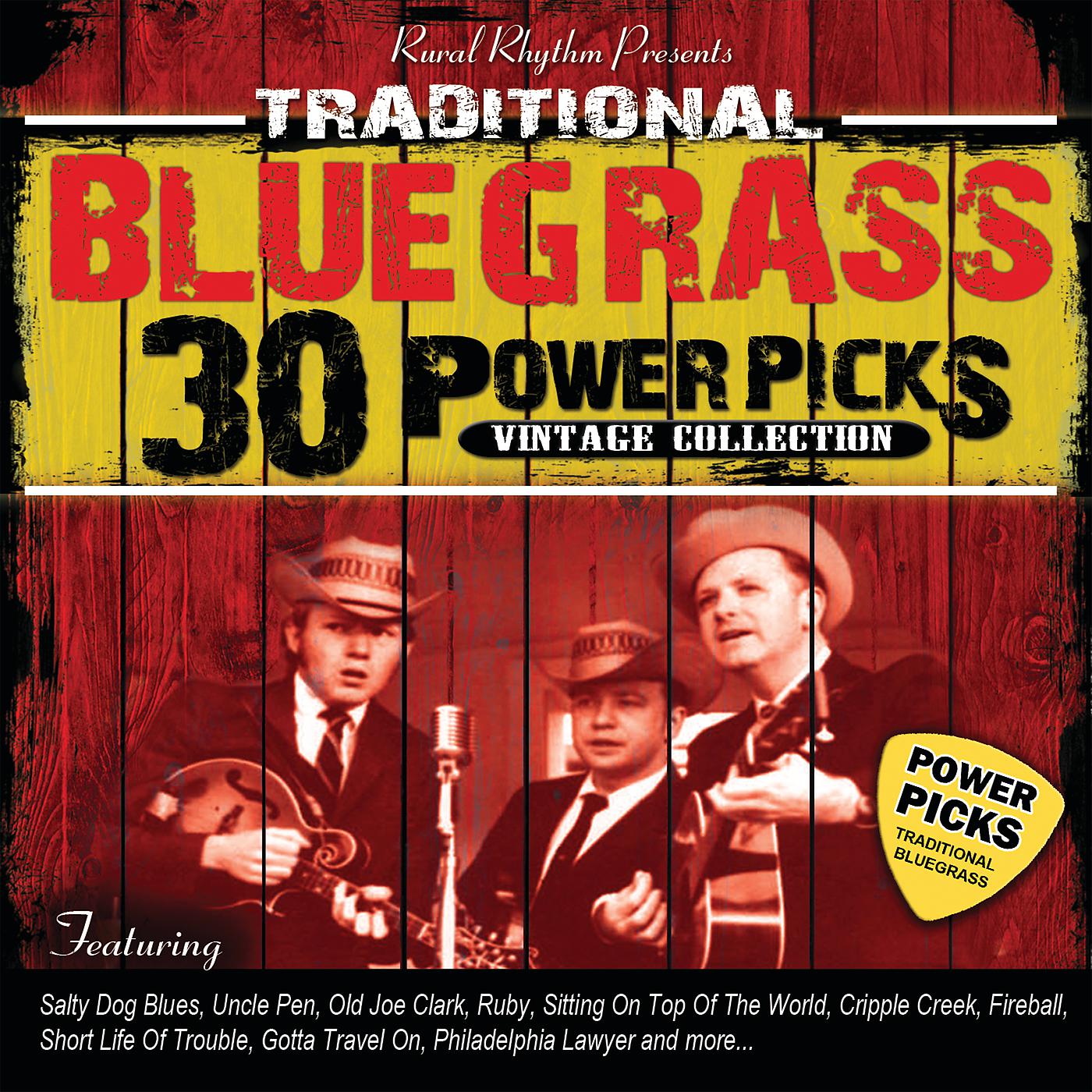 Постер альбома 30 Traditional Bluegrass Power Picks: Vintage Collection