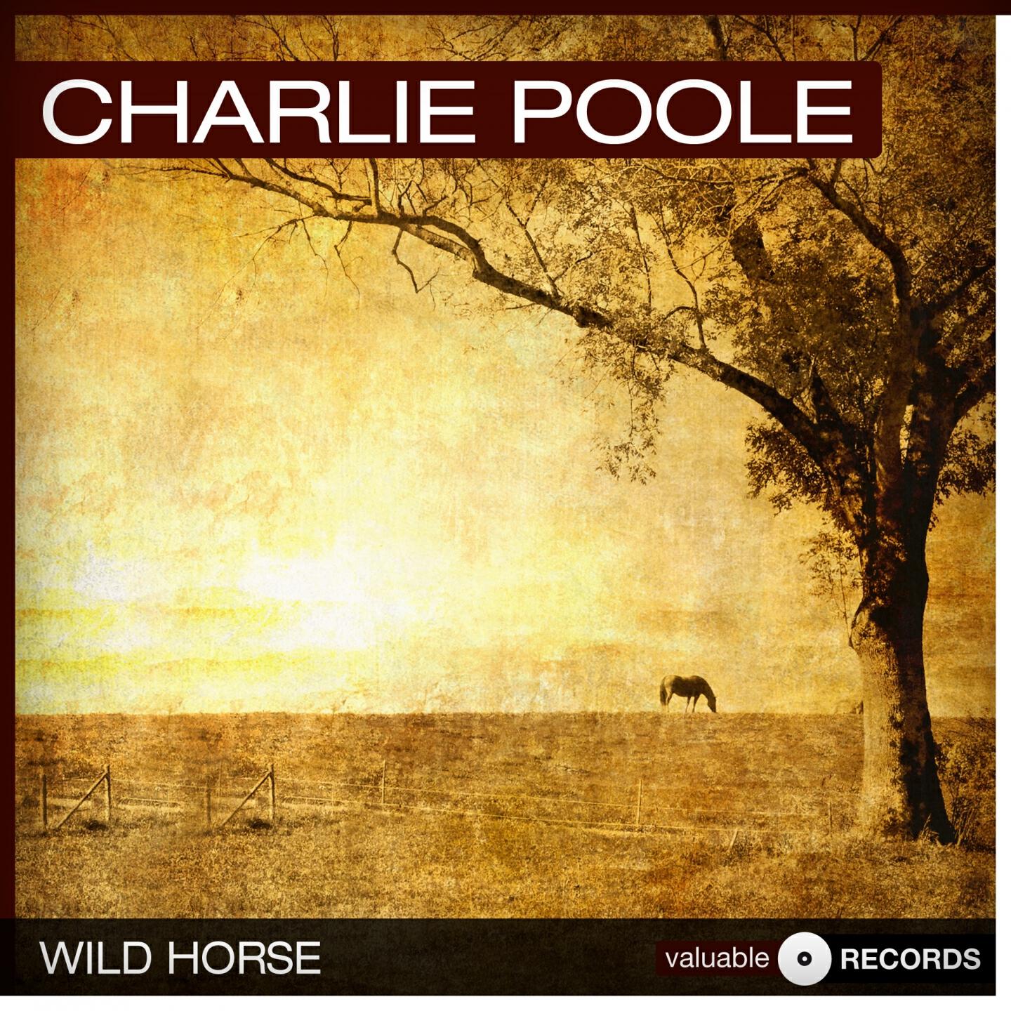 Charlie Poole - Bill Mason