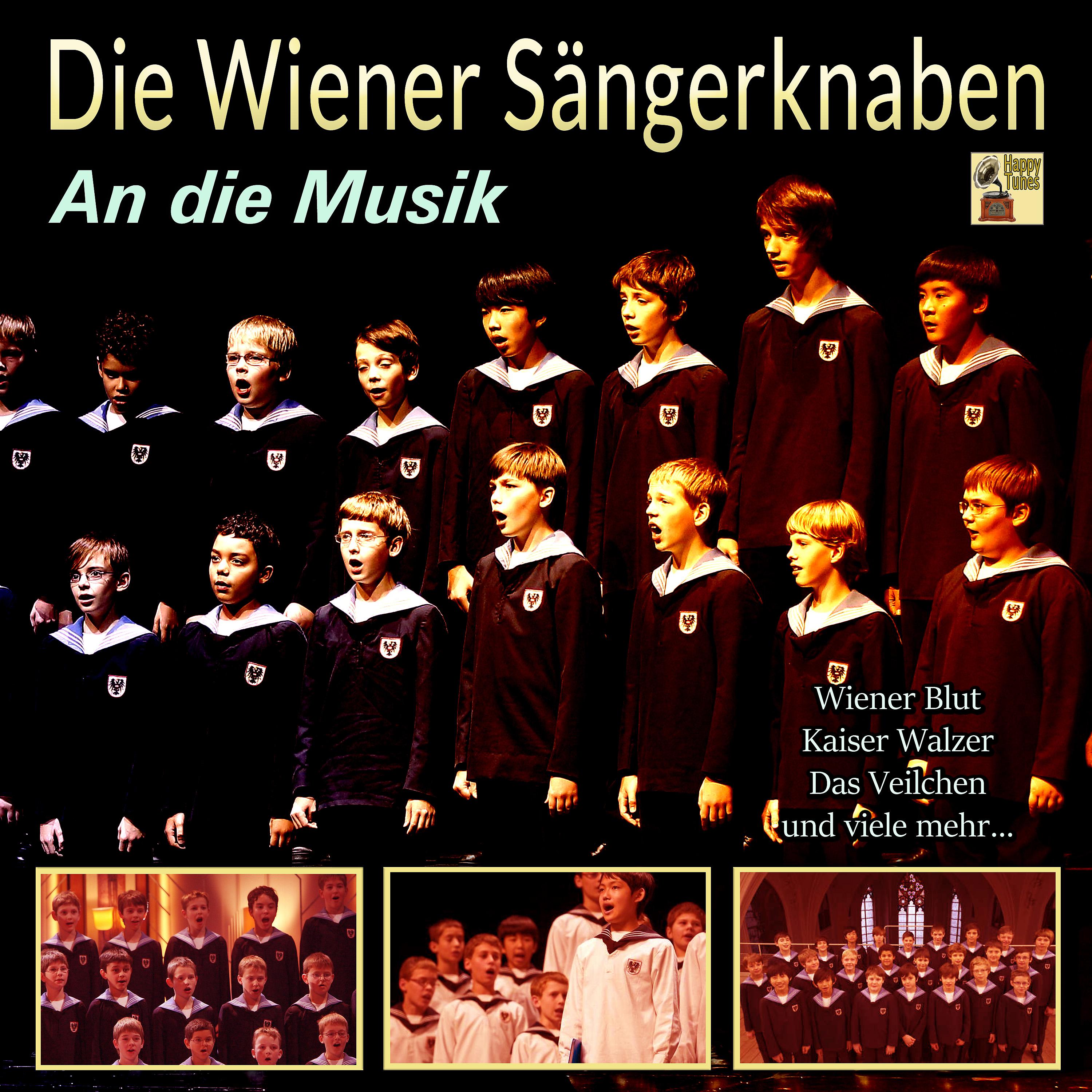 Постер альбома An die Musik