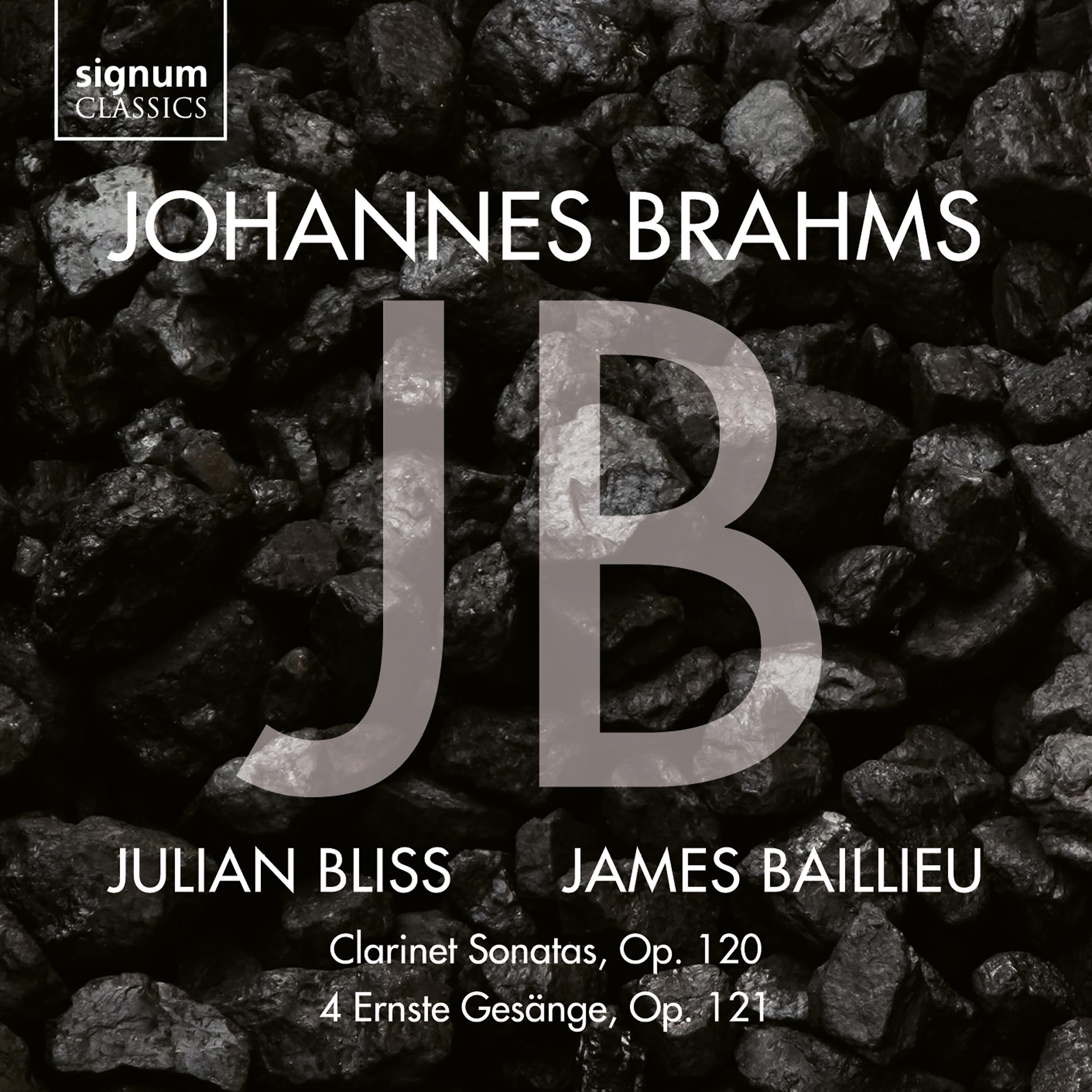 Постер альбома Brahms Sonatas
