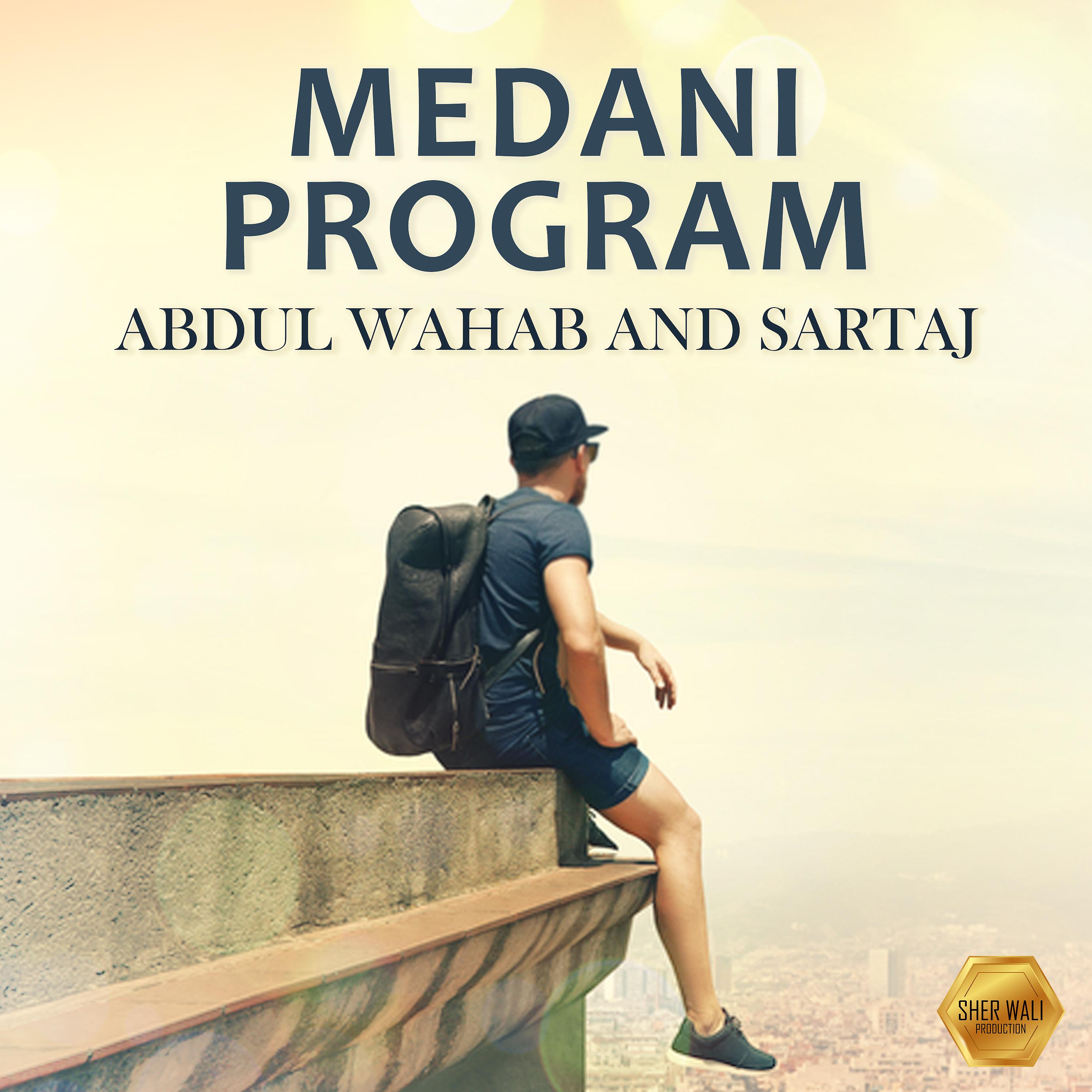 Постер альбома Medani Program