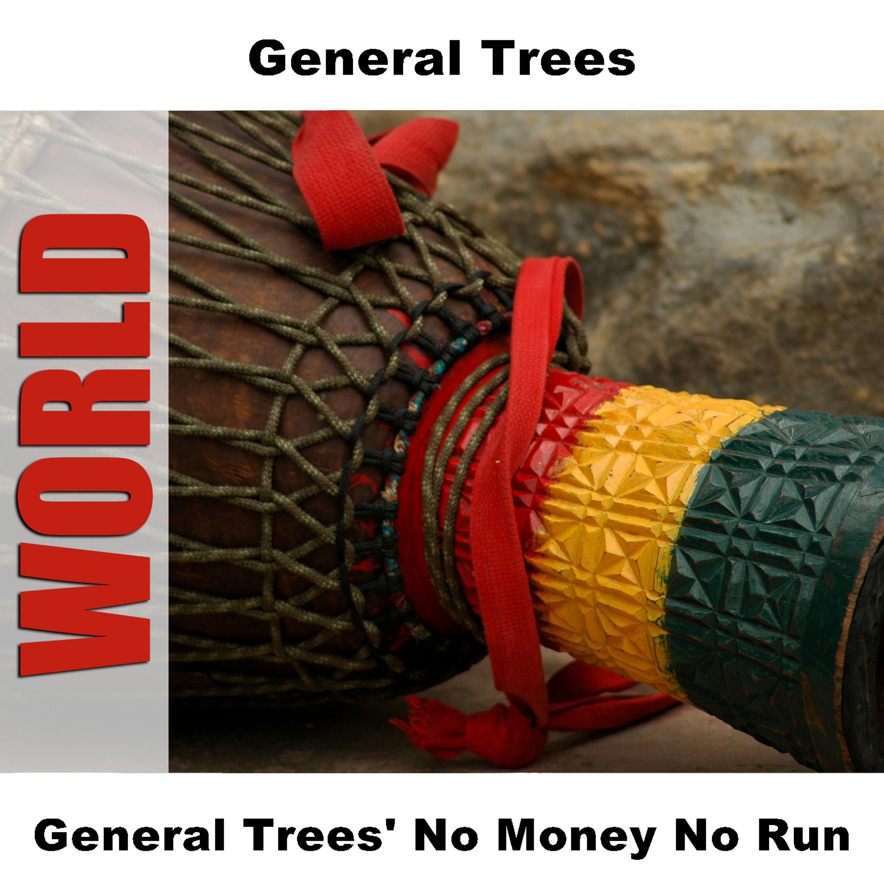 Постер альбома General Trees' No Money No Run