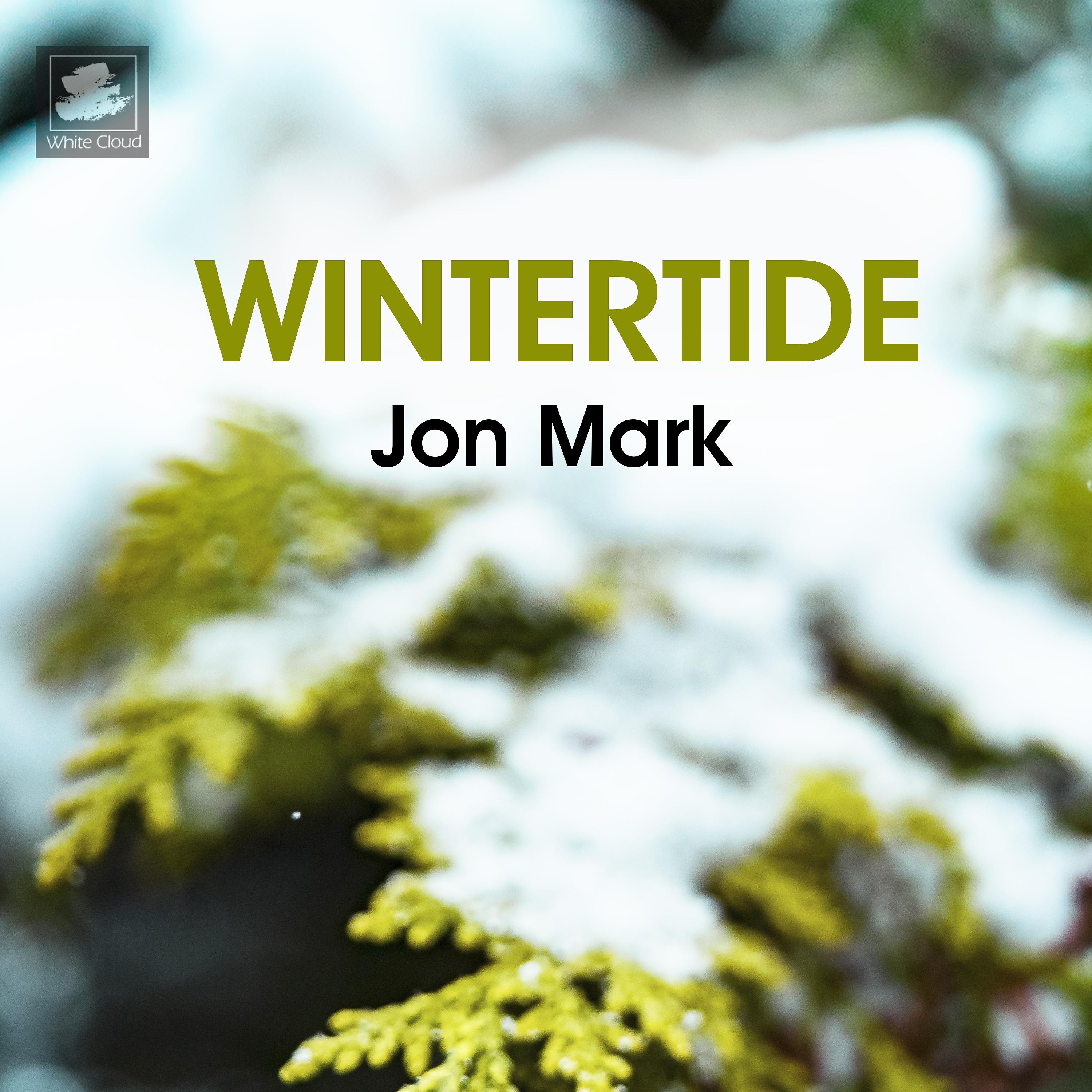 Постер альбома Wintertide