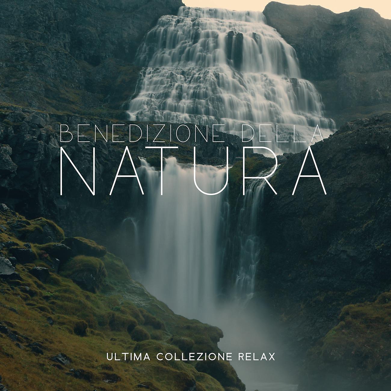Постер альбома Benedizione della natura