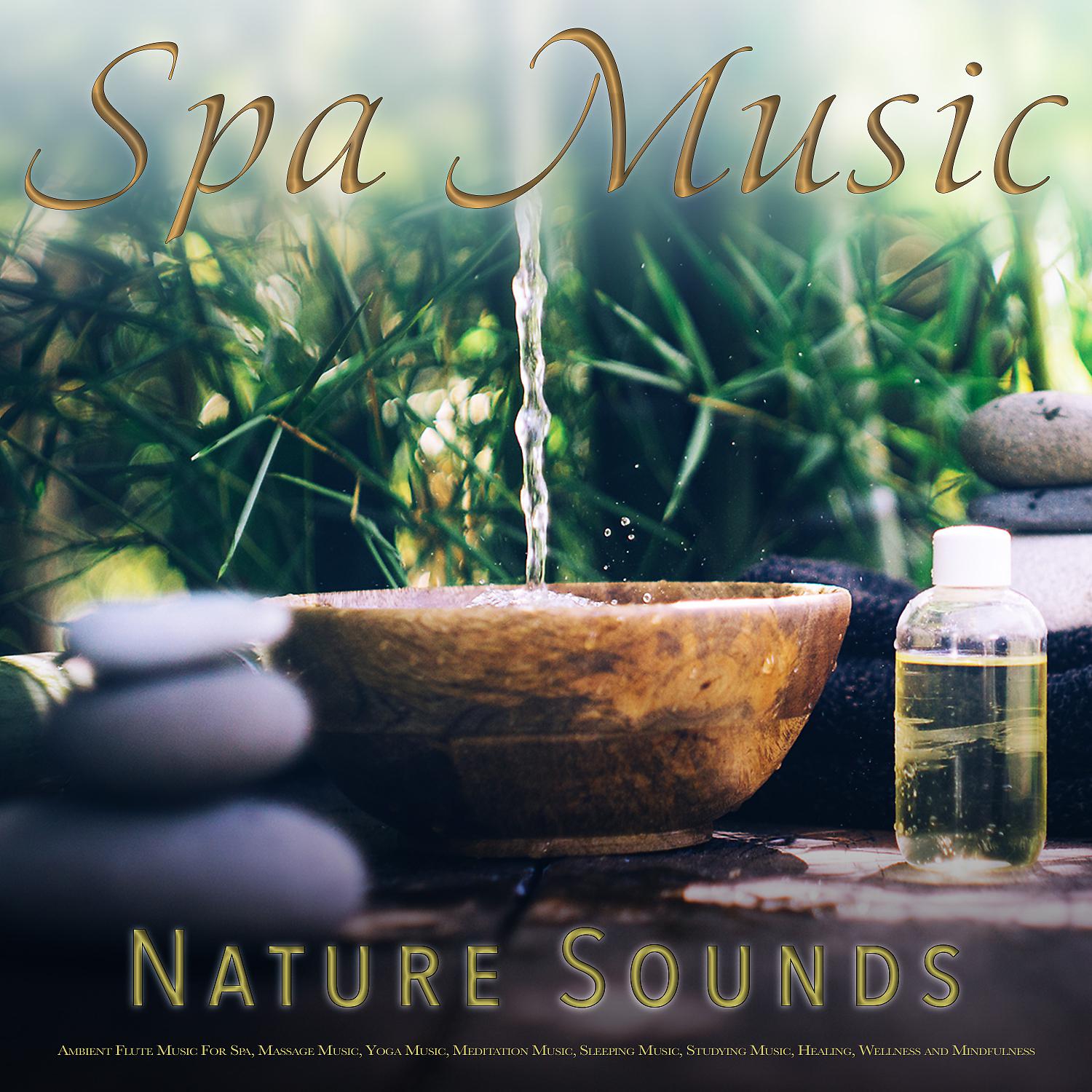 Постер альбома Spa Music: Bird Sounds, Forest Sounds, Nature Sounds and Ambient Flute Music For Spa, Massage Music, Yoga Music, Meditation Music, Sleeping Music, Studying Music, Healing, Wellness and Mindfulness