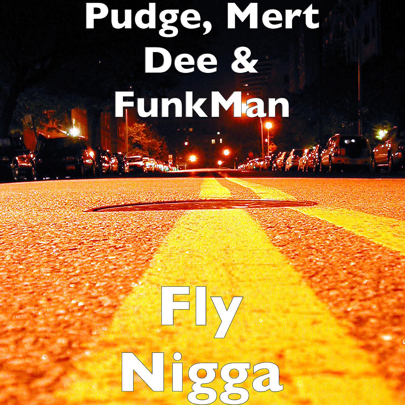 Постер альбома Fly Nigga