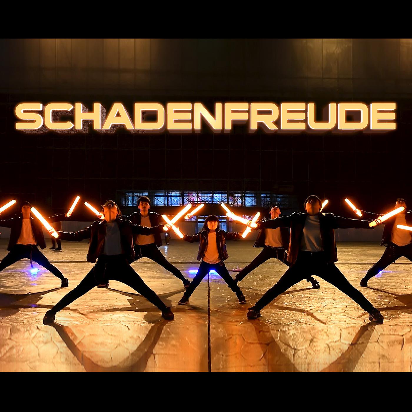Постер альбома Schadenfreude