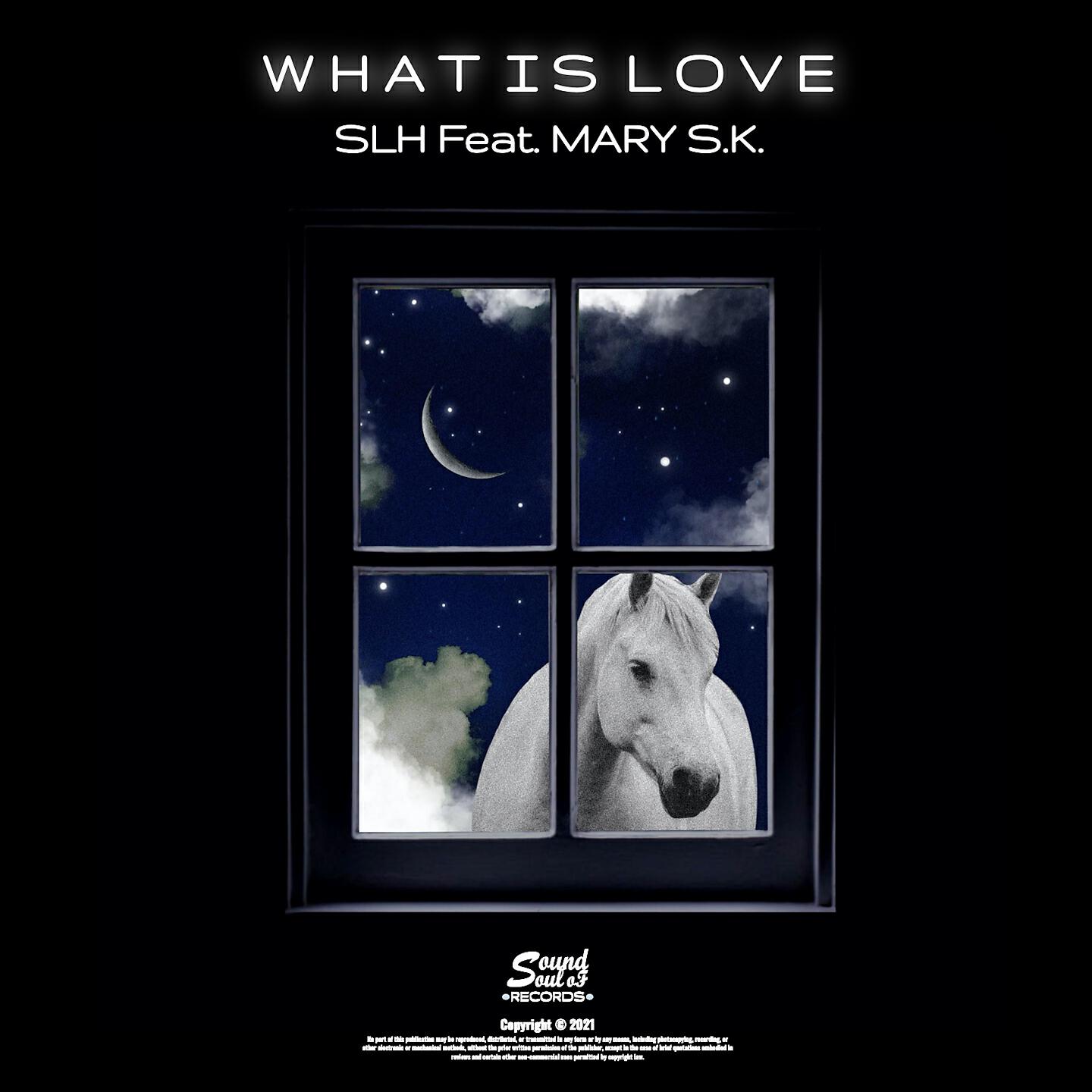 SLH - What Is Love