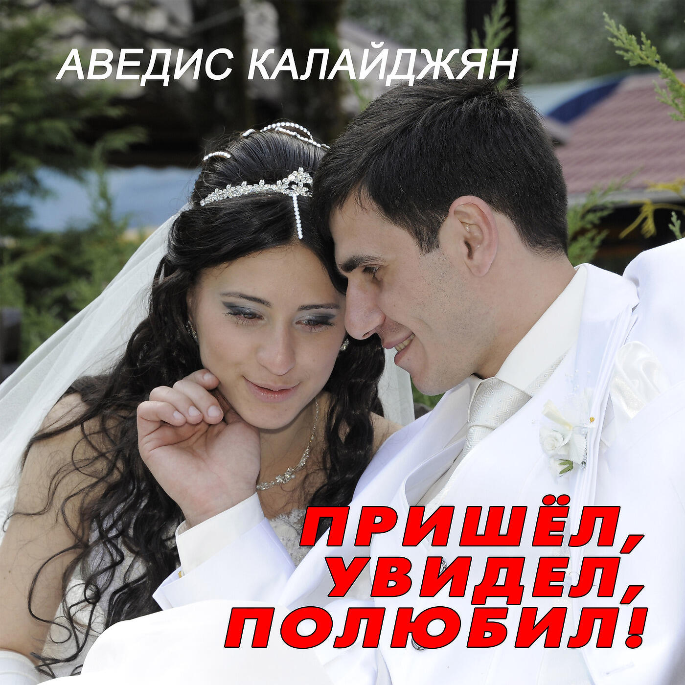 Аведис Калайджян - Пришёл, Увидел, Полюбил