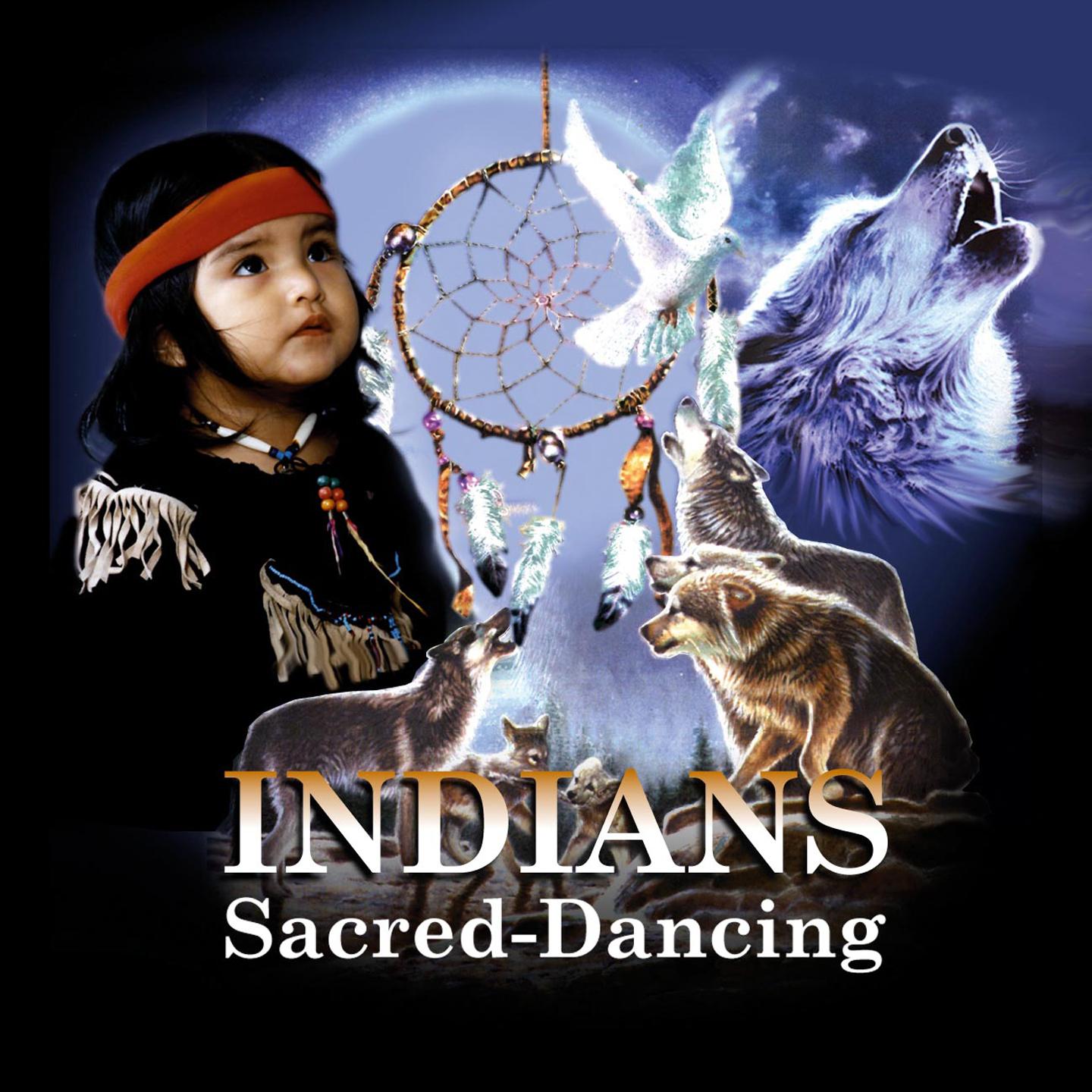 Постер альбома Indians Sacred Dancing (Ecosound Musica Indiana Andina)