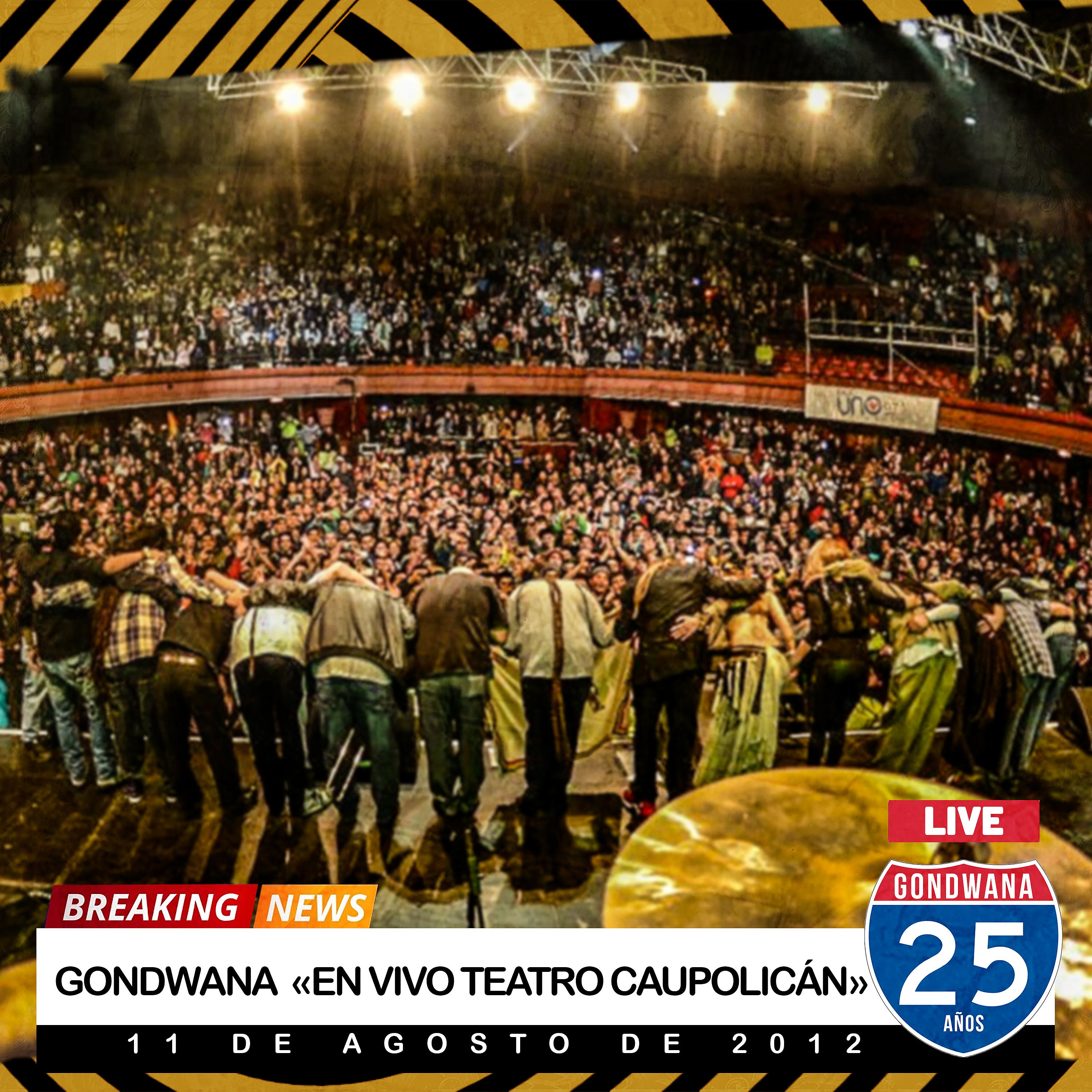 Постер альбома En Vivo Teatro Caupolicán