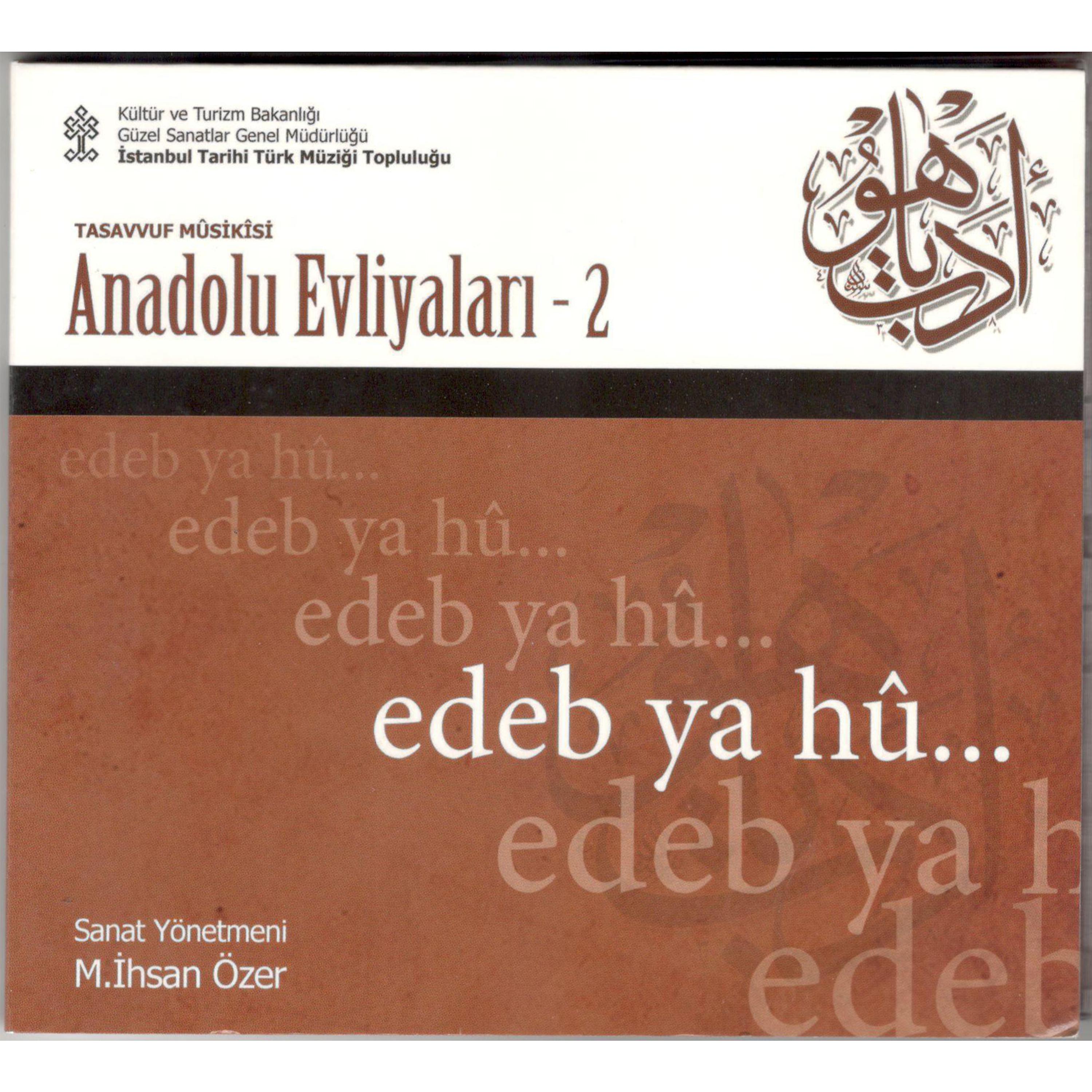 Постер альбома Anadolu Evliyaları / edeb ya hu, Vol.2