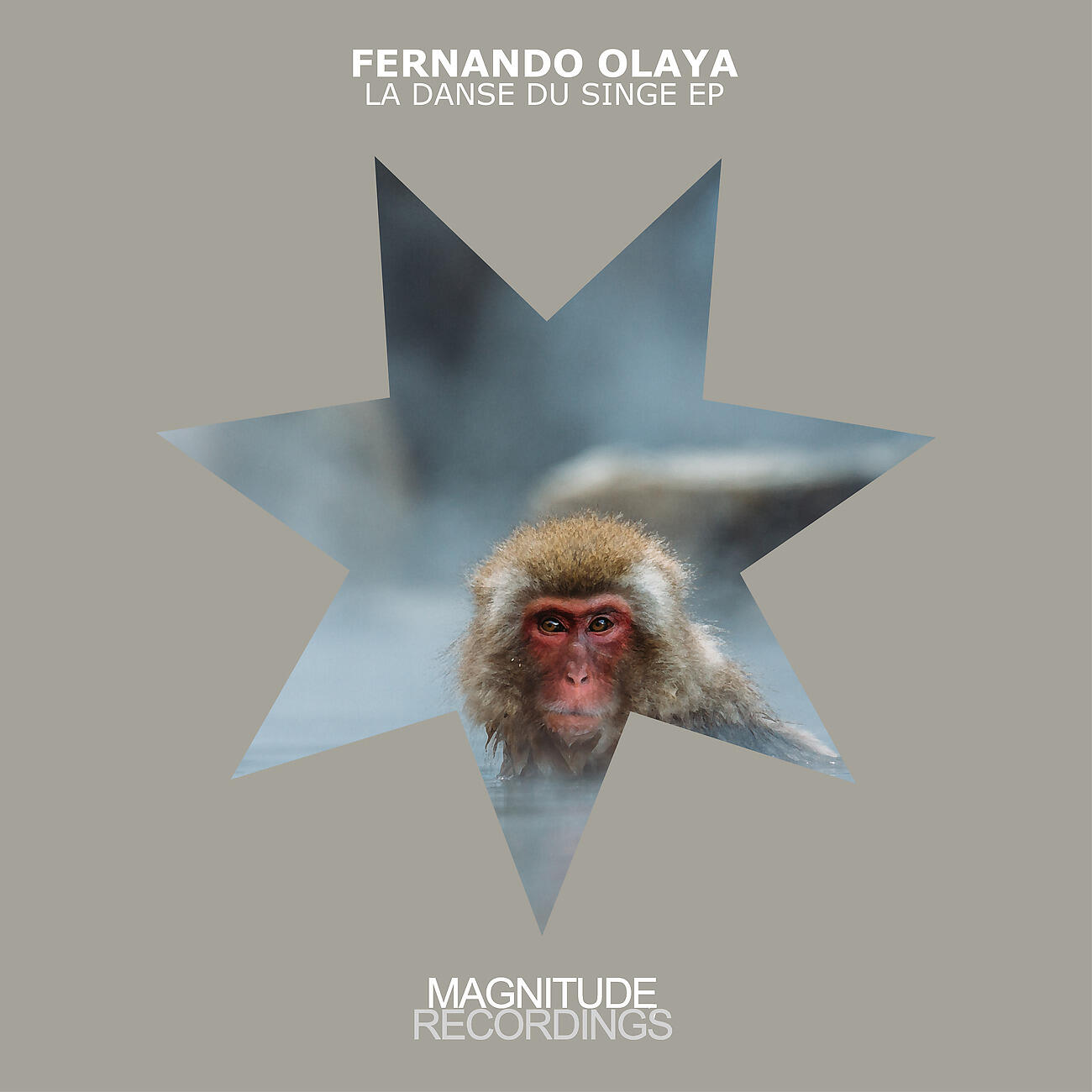Fernando Olaya - Mestalism