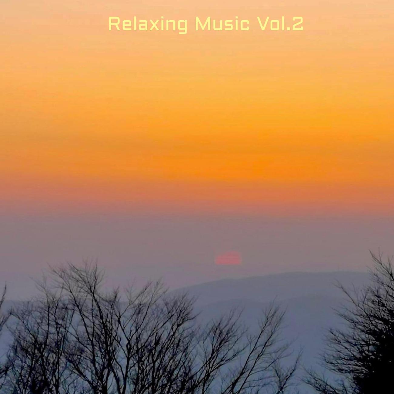 Постер альбома Relaxing Music Vol.2