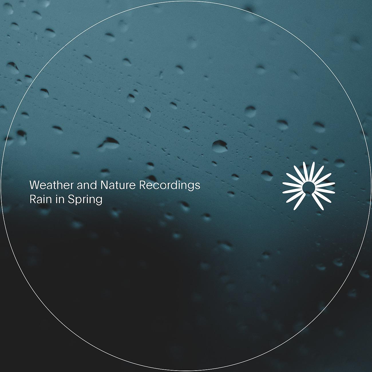 Постер альбома Rain in Spring