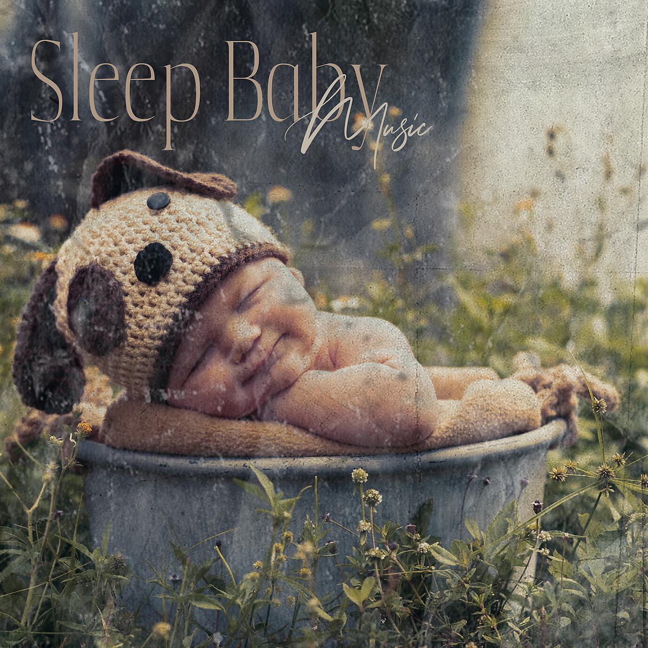 Постер альбома Sleep Baby Music