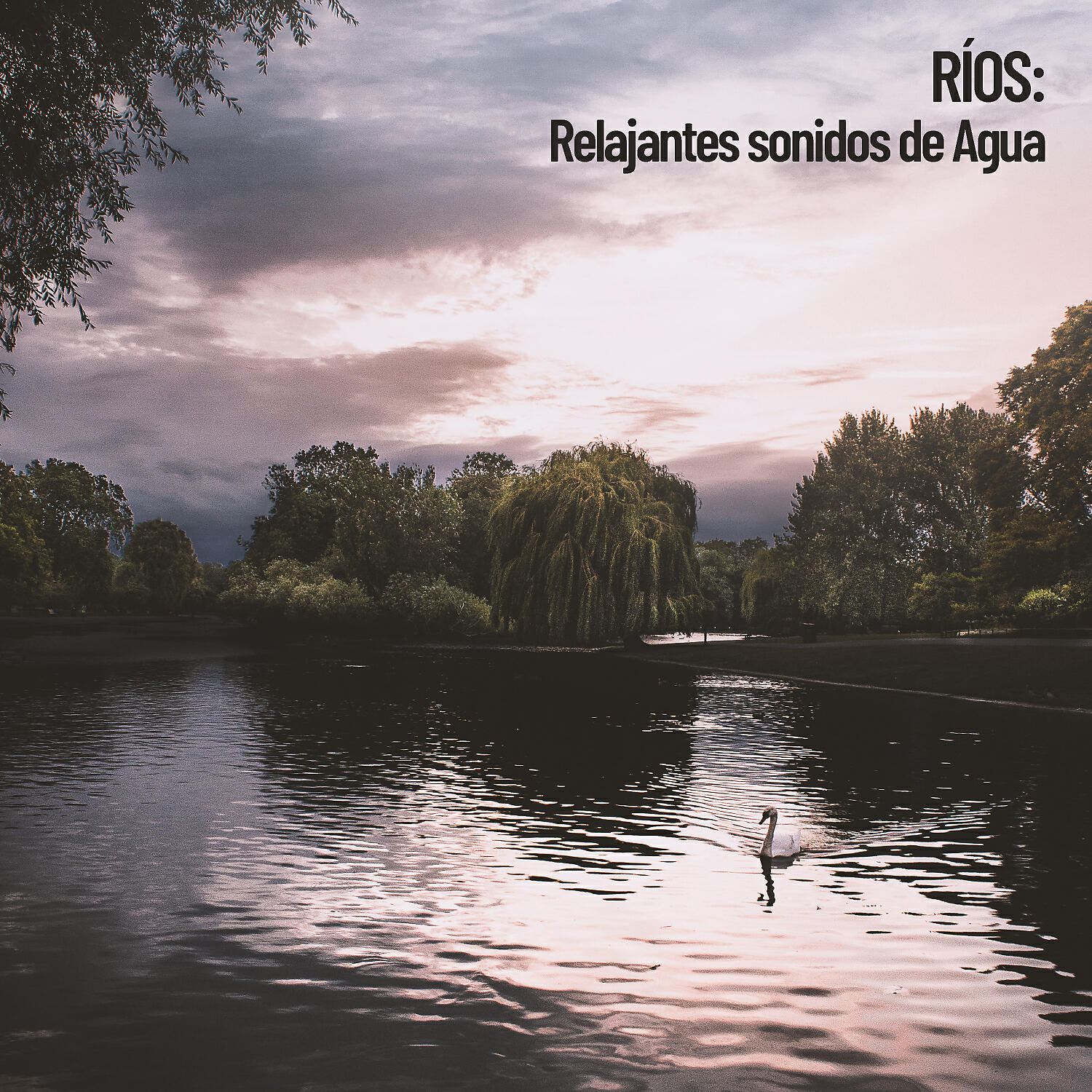 Water Science - Agua moviéndose a través de la cueva