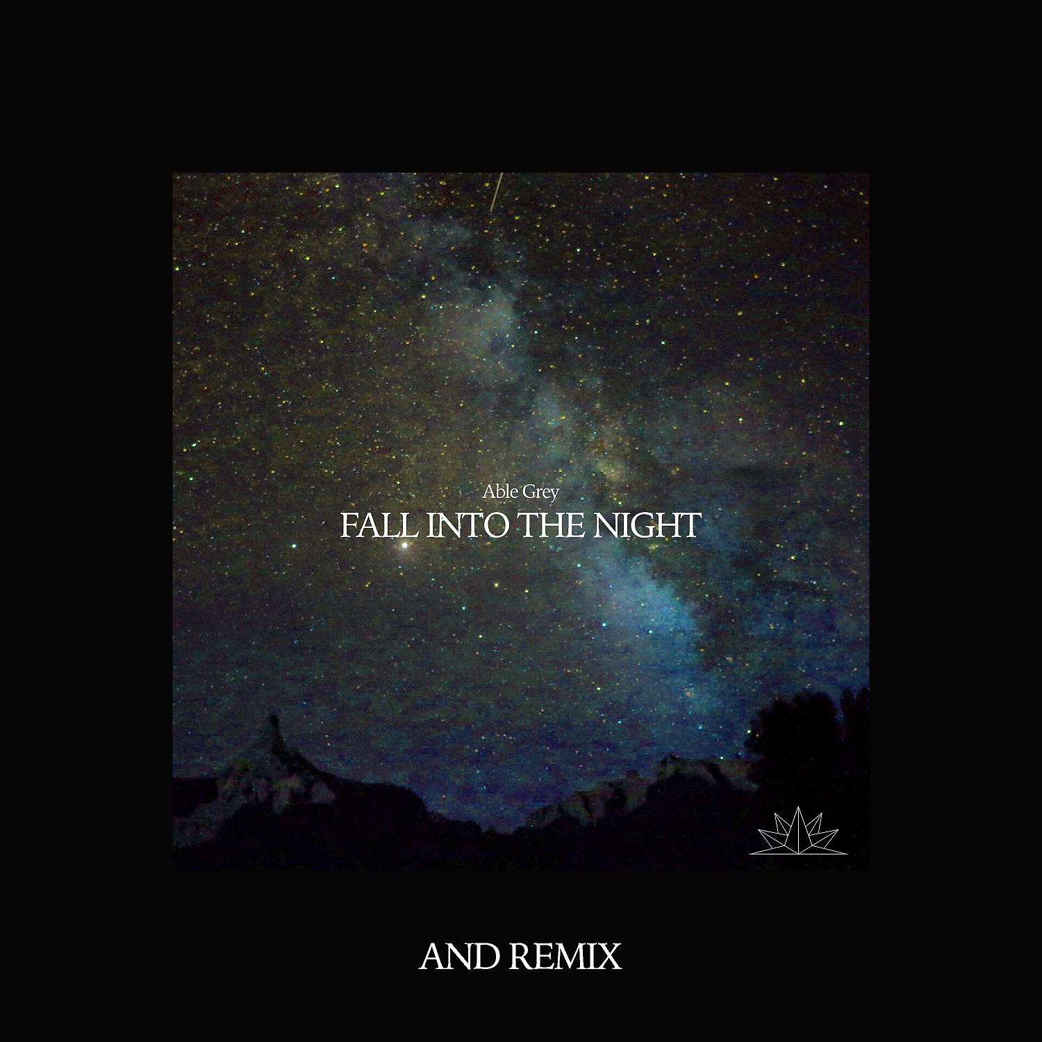 Постер альбома Fall Into The Night (and Remix)