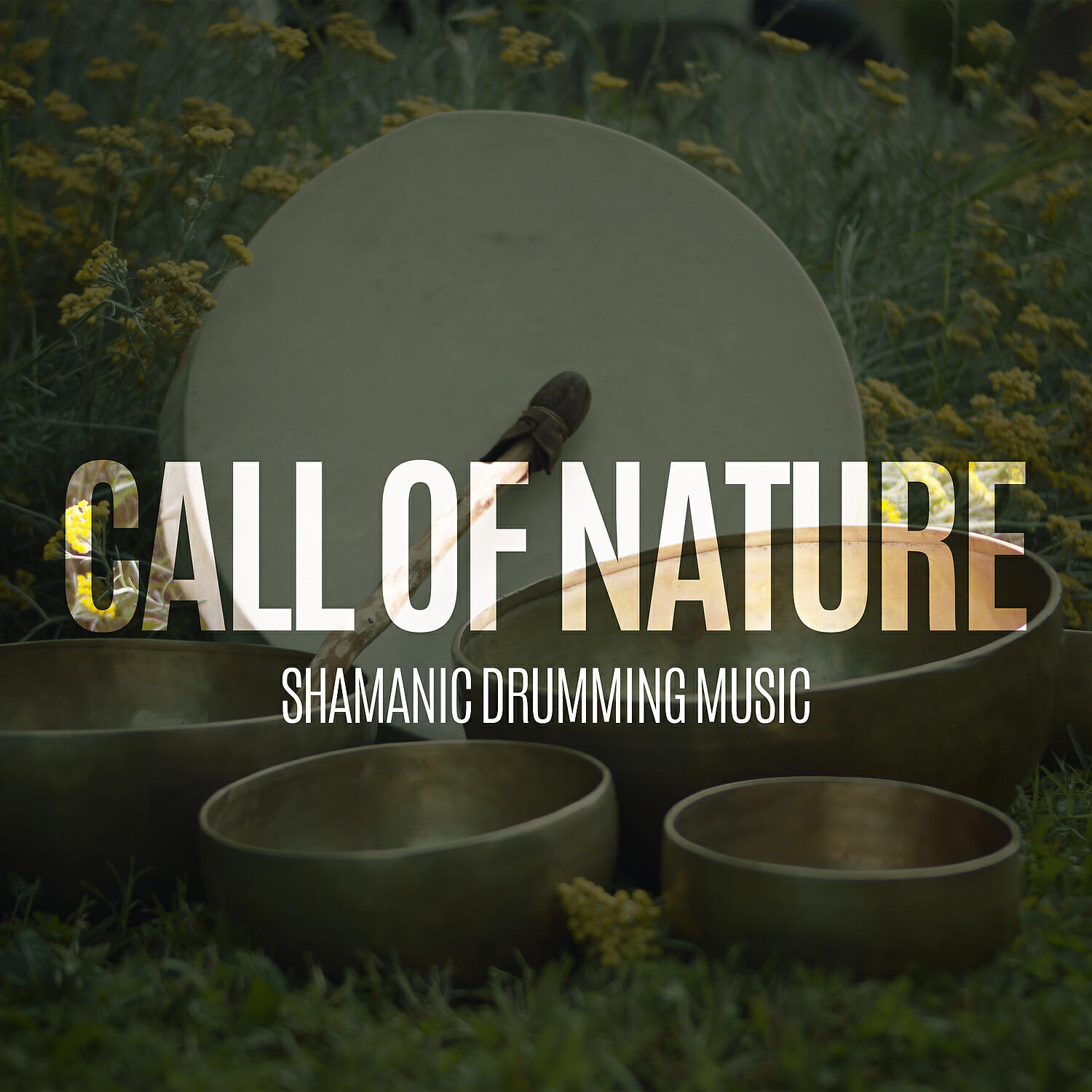 American Flute - Hypnotizing Djembe Rhythms